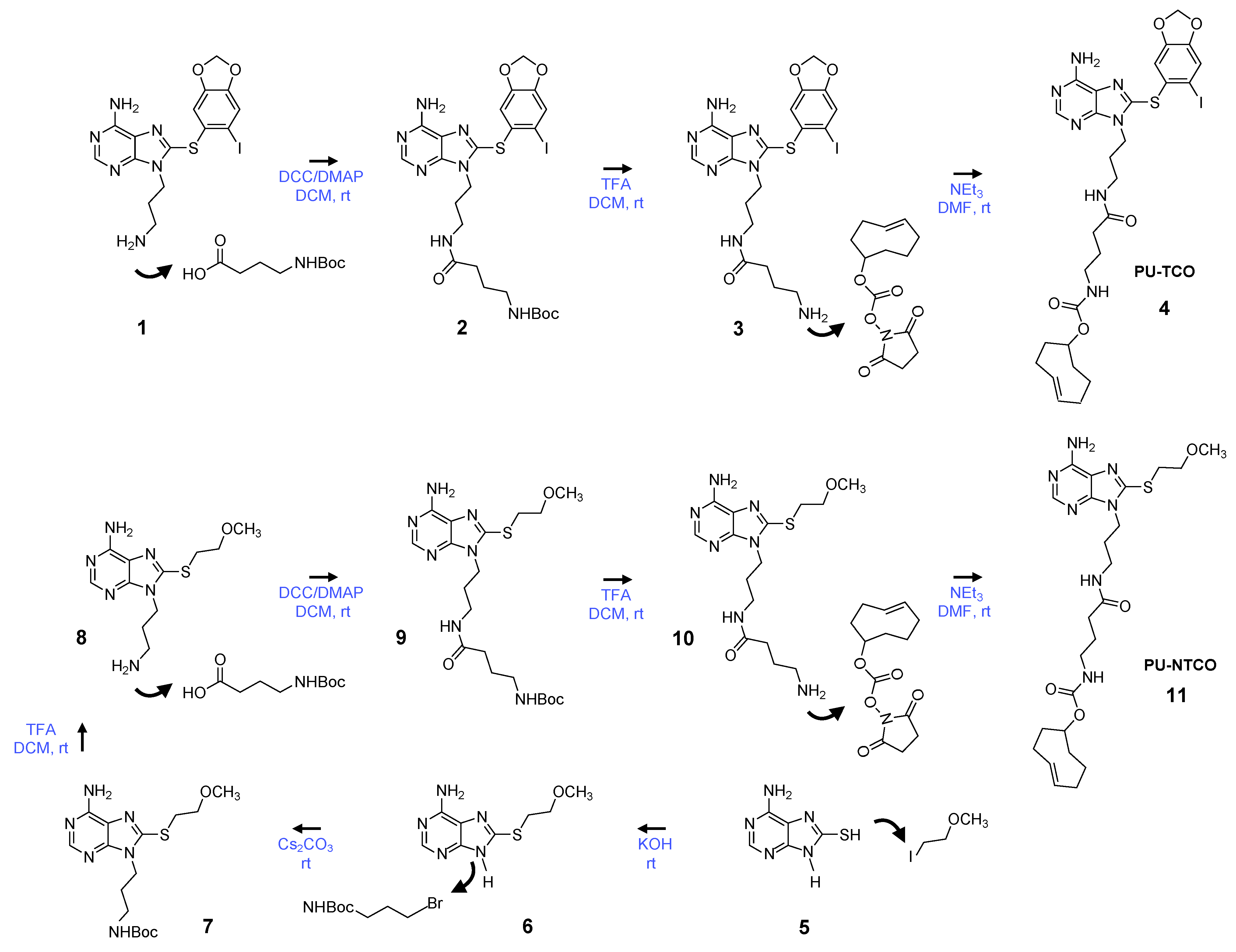 Biomedicines 12 01252 g002