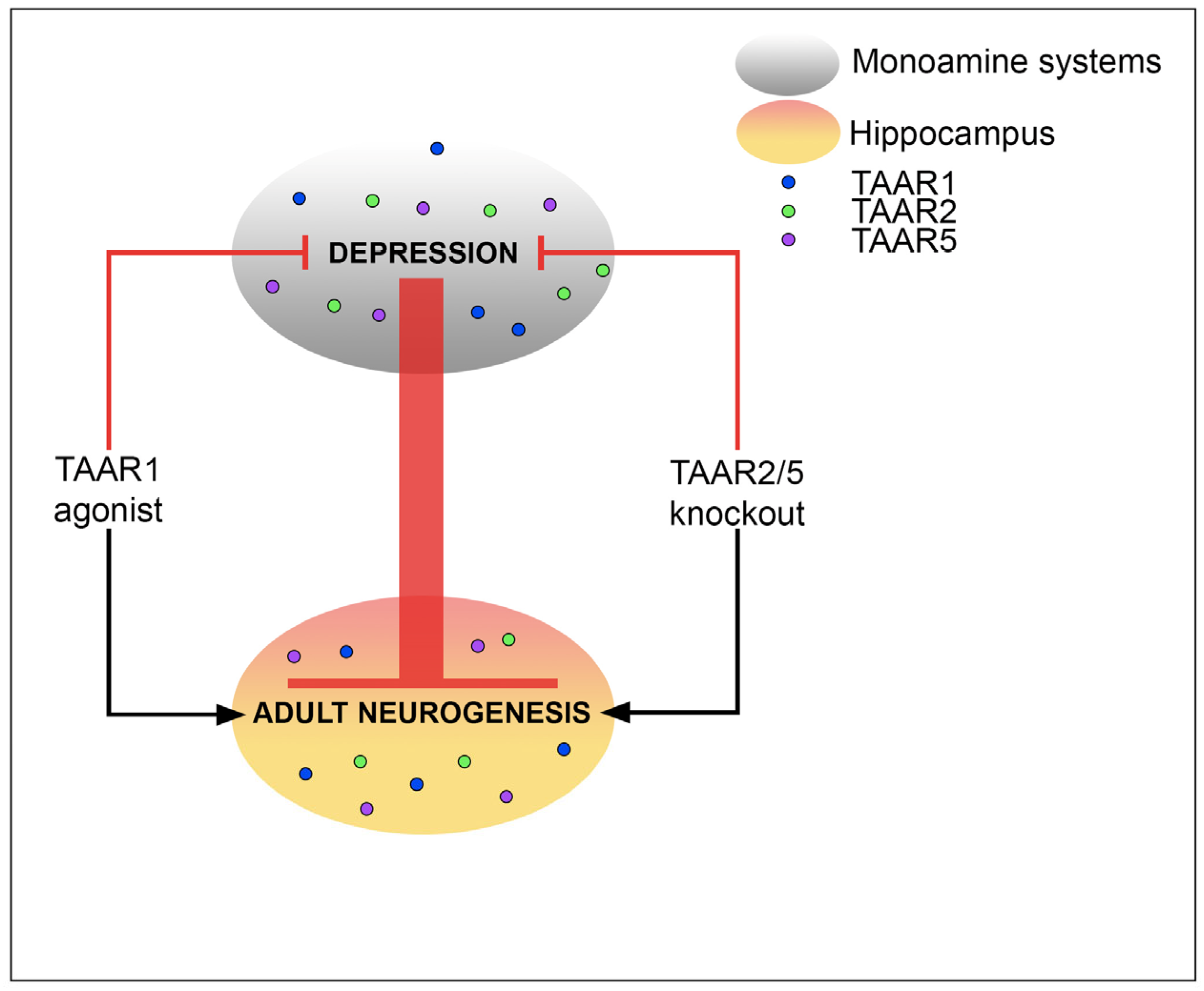 Biomedicines 12 01263 g002