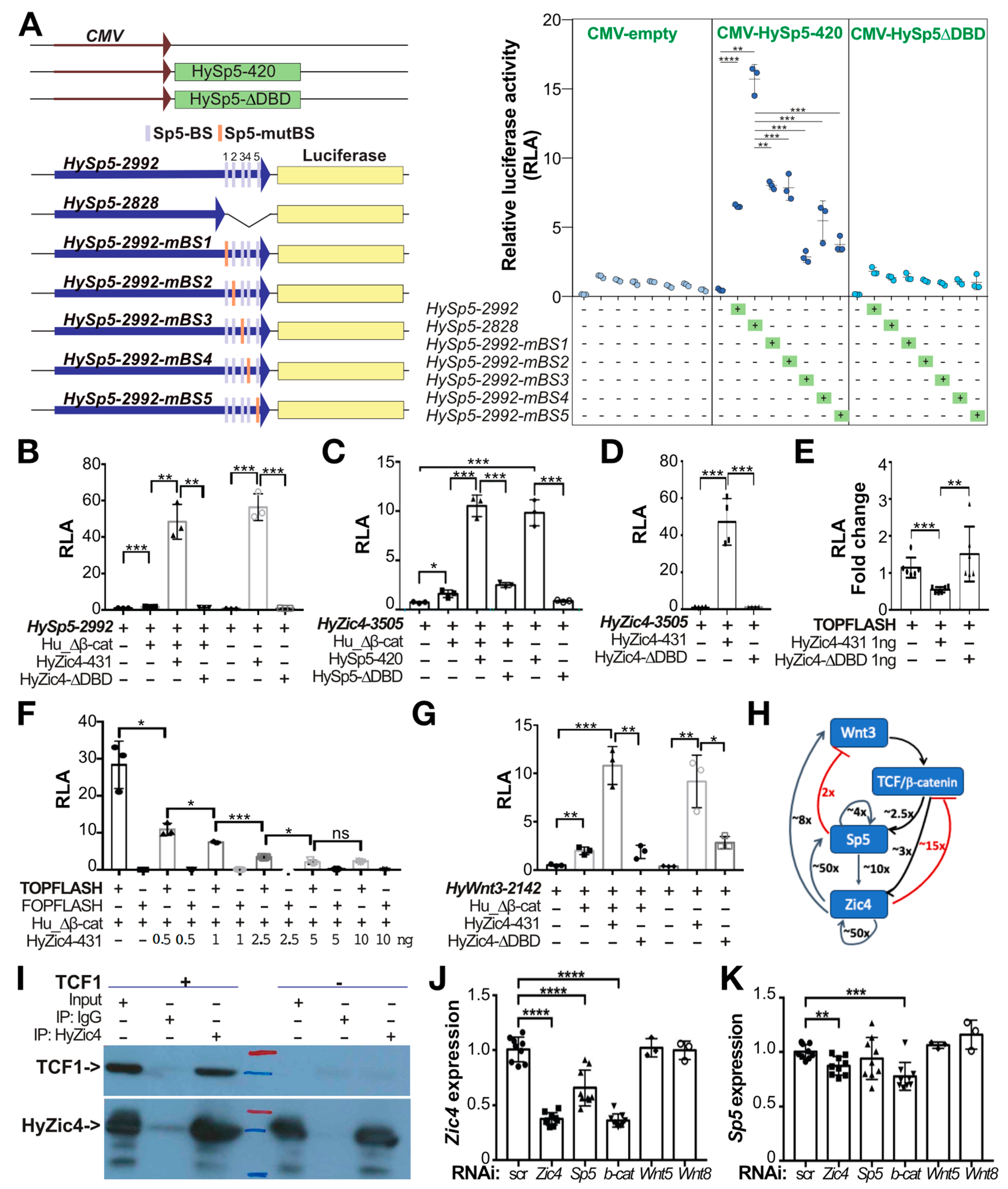 Biomedicines 12 01274 g007