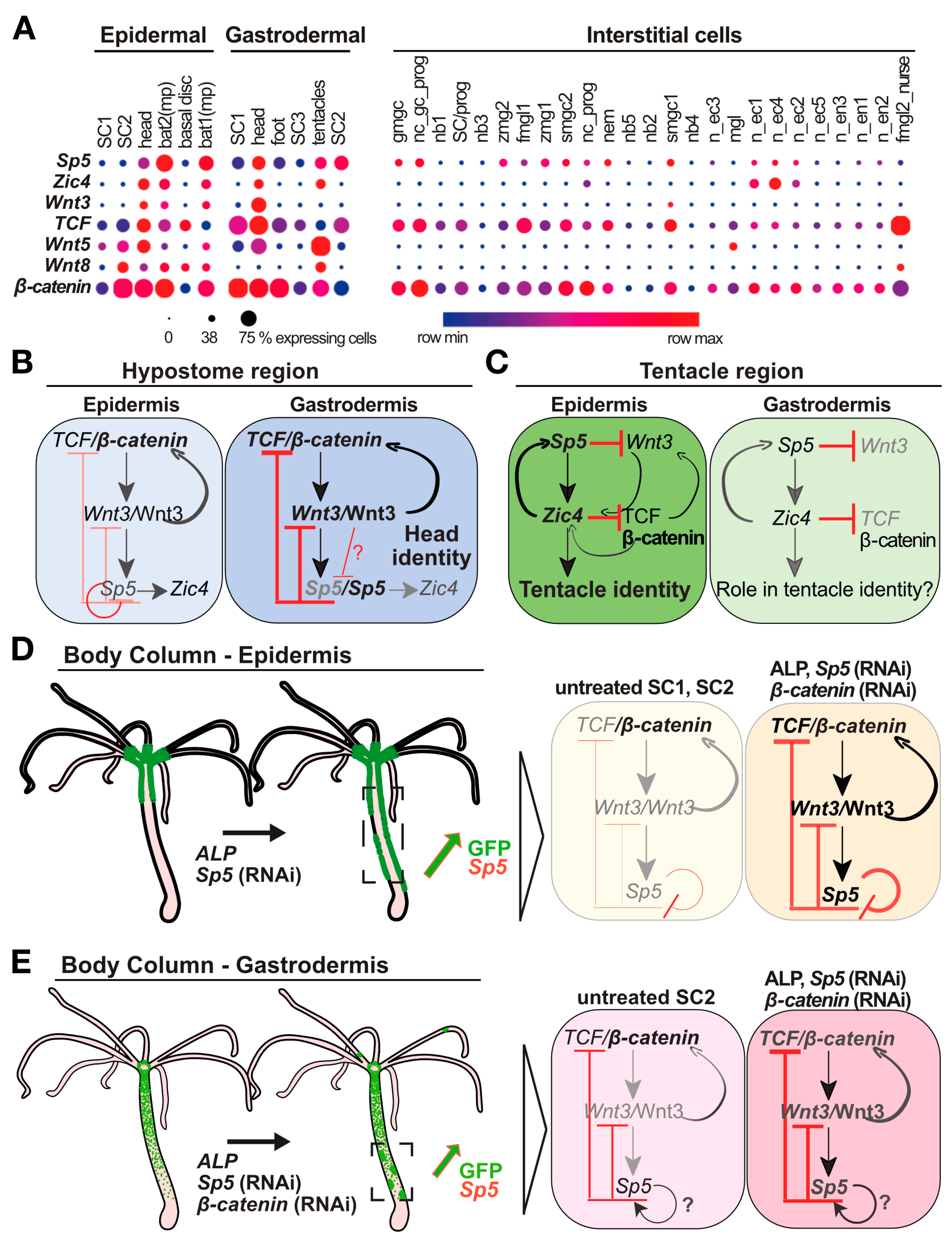 Biomedicines 12 01274 g008
