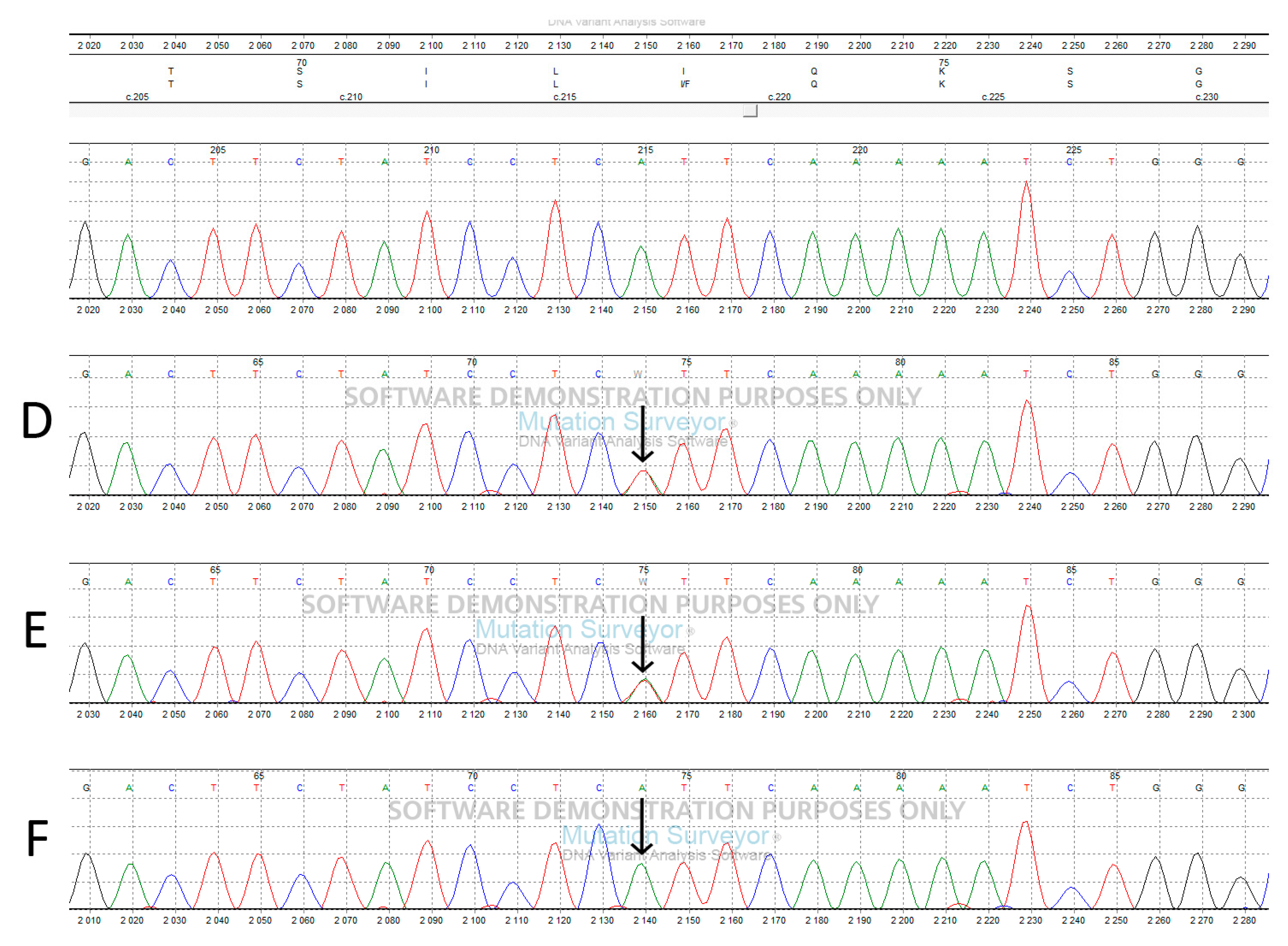 Biomedicines 12 01278 g002b