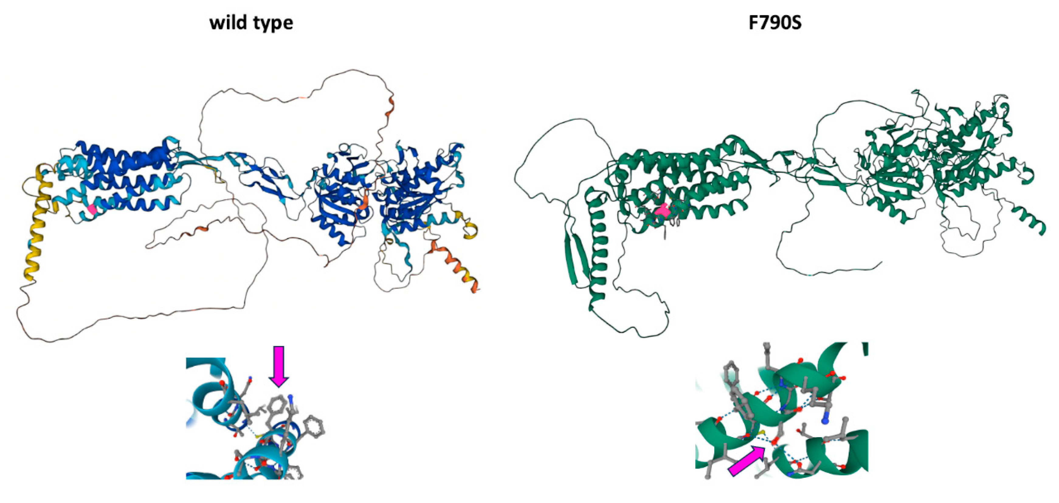 Biomedicines 12 01278 g003