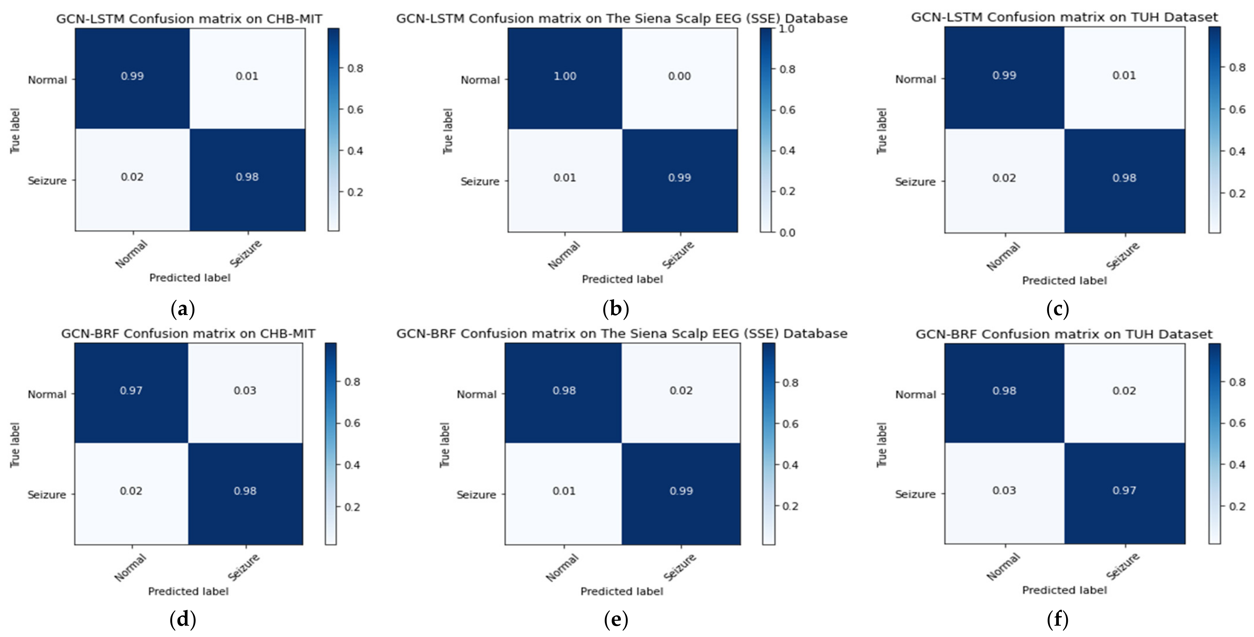 Biomedicines 12 01283 g016
