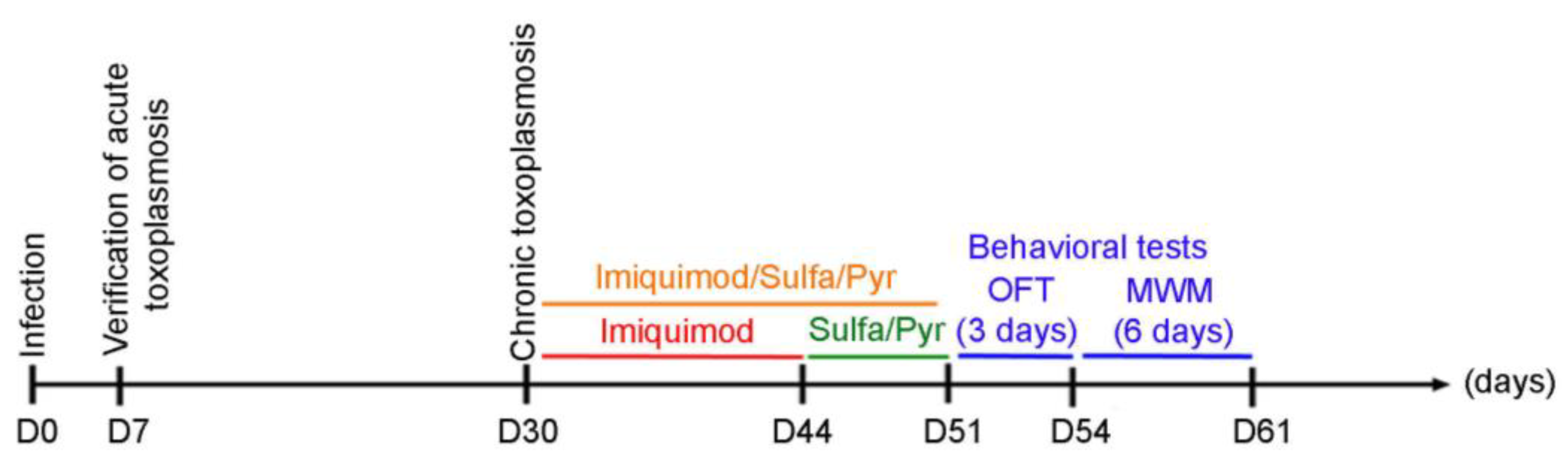 Biomedicines 12 01295 g001