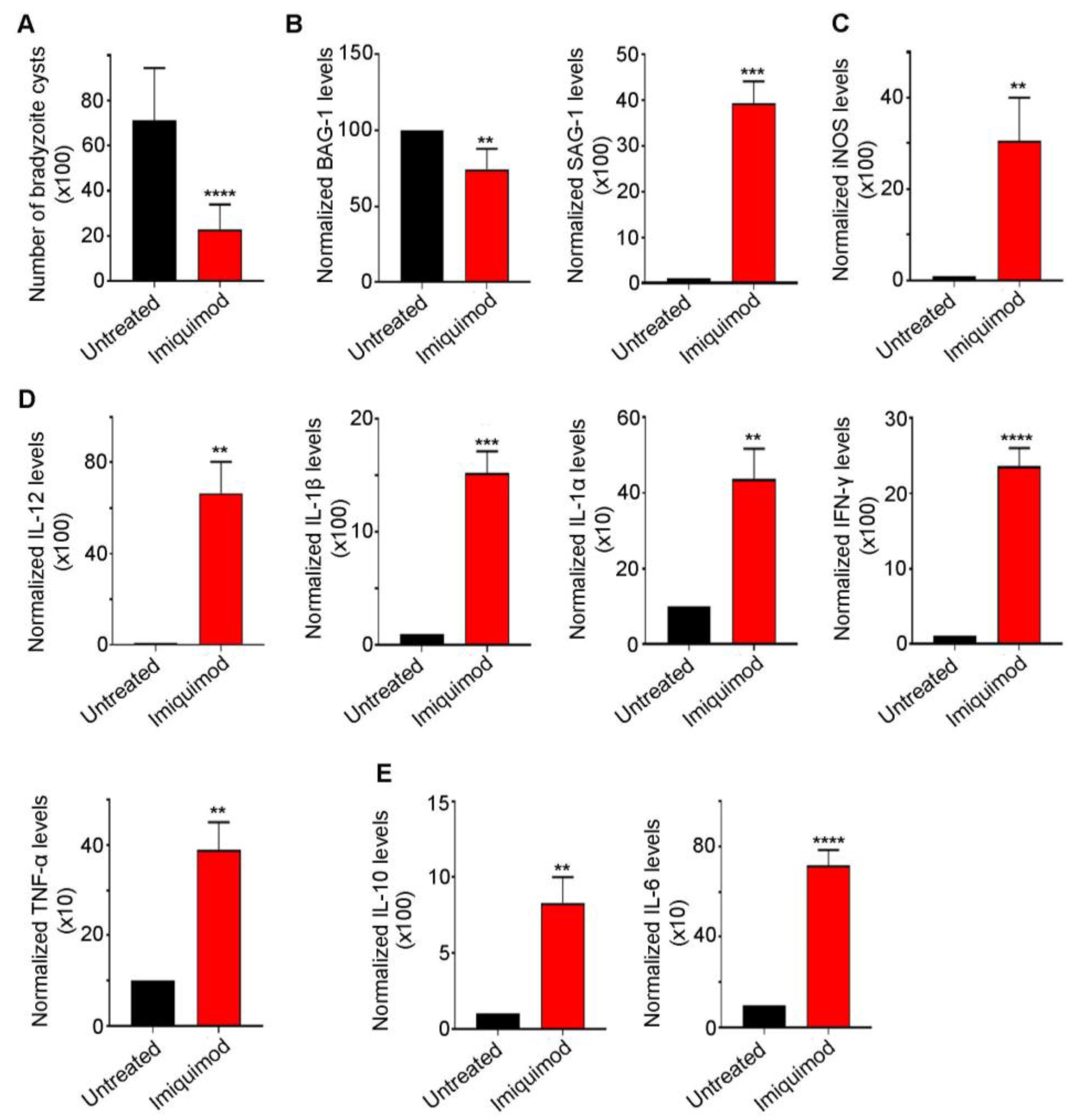 Biomedicines 12 01295 g002