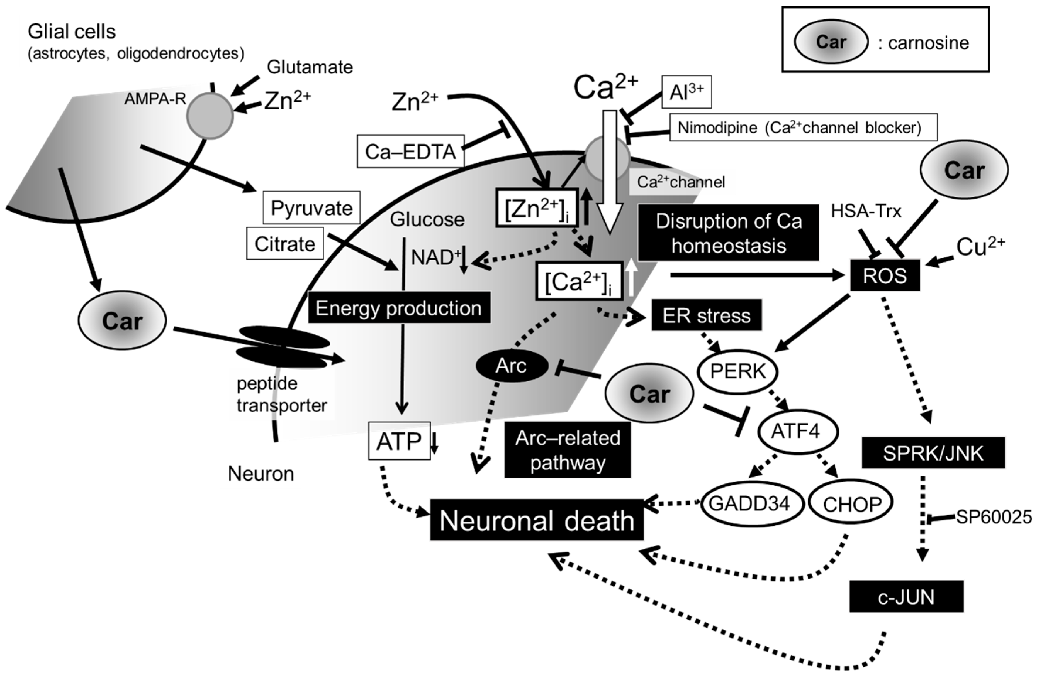 Biomedicines 12 01296 g003