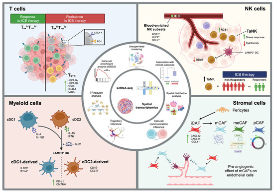 Biomedicines 12 01297 g001
