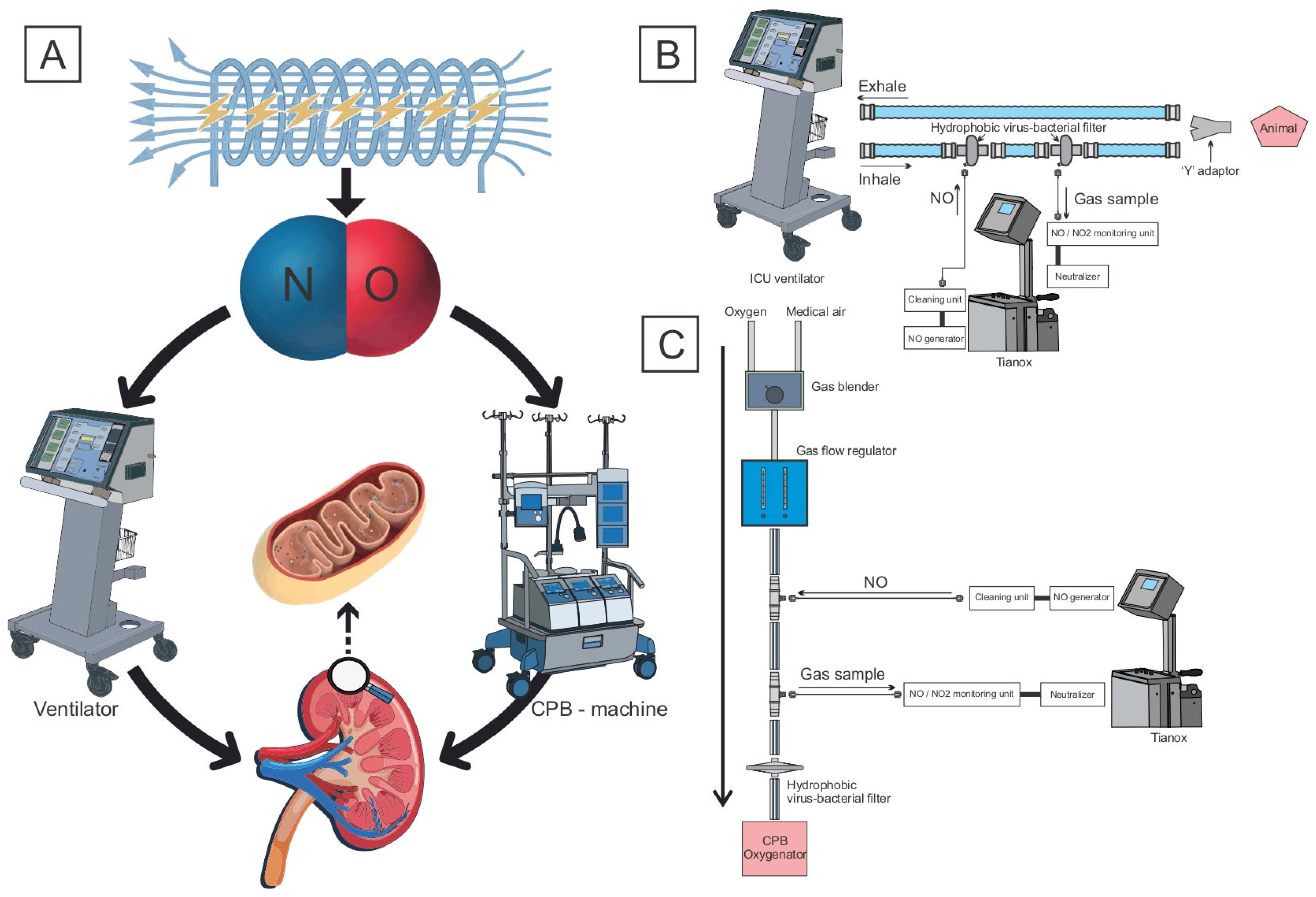 Biomedicines 12 01298 g001