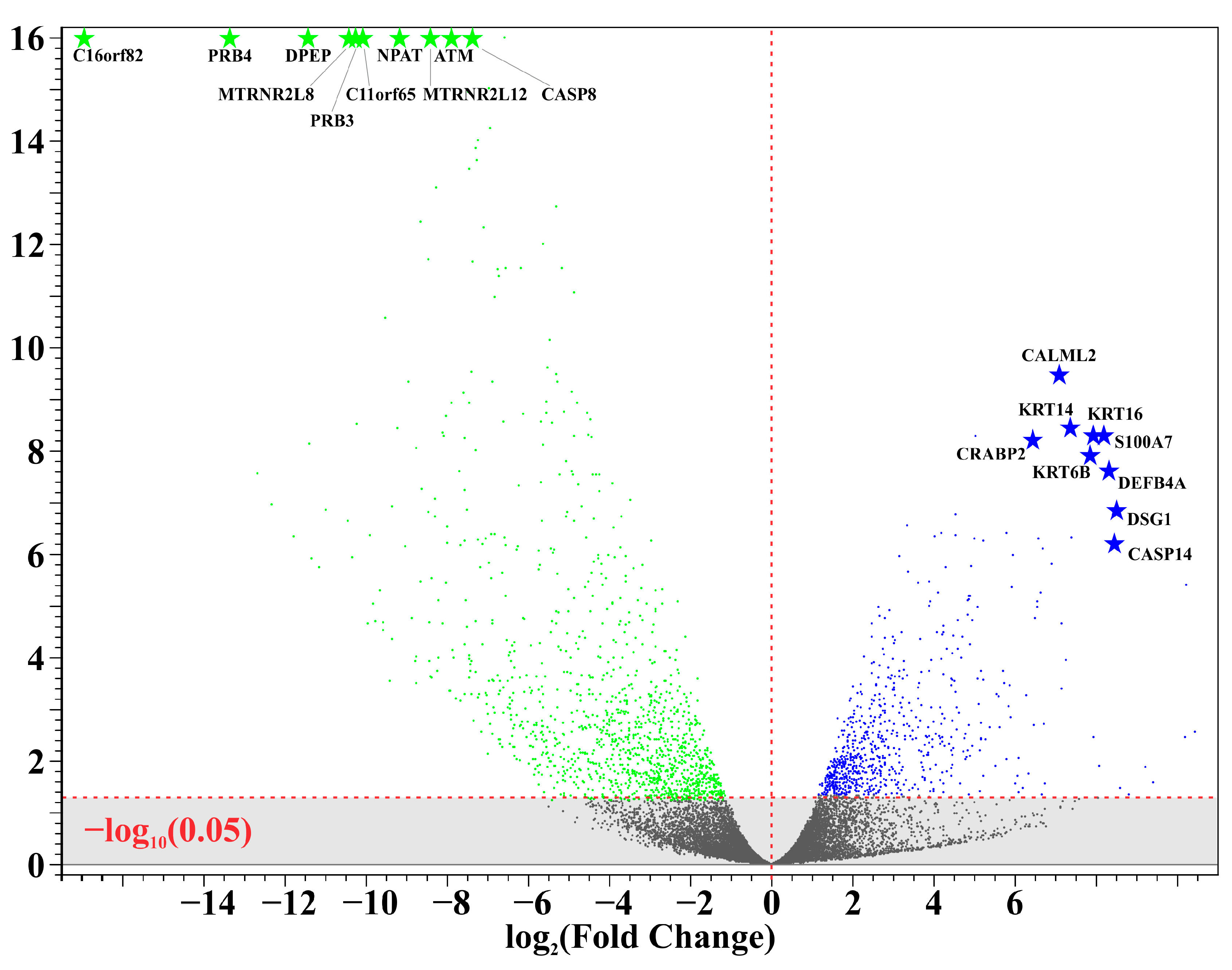 Biomedicines 12 01323 g001