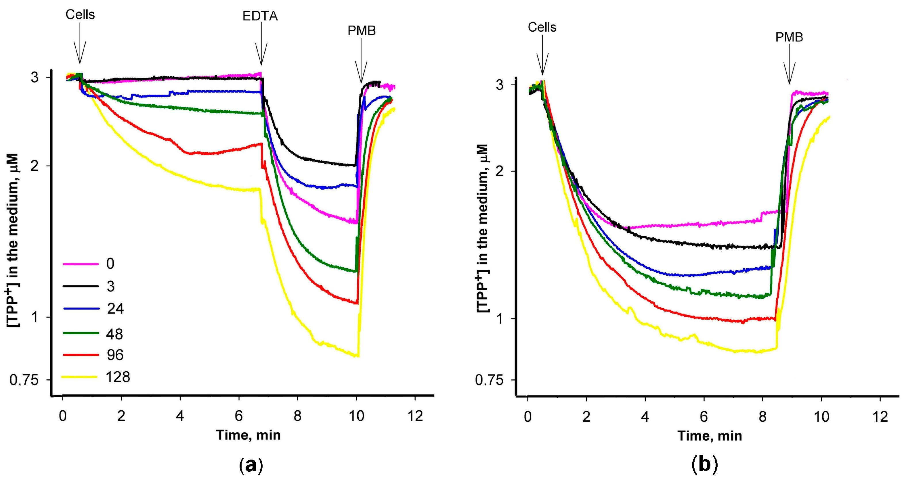 Biomedicines 12 01324 g002