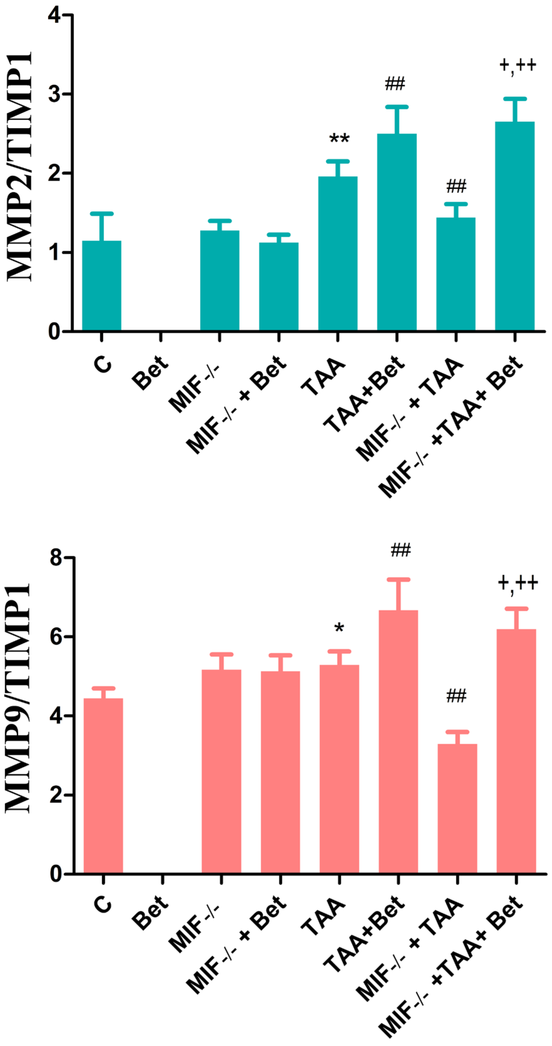 Biomedicines 12 01337 g003