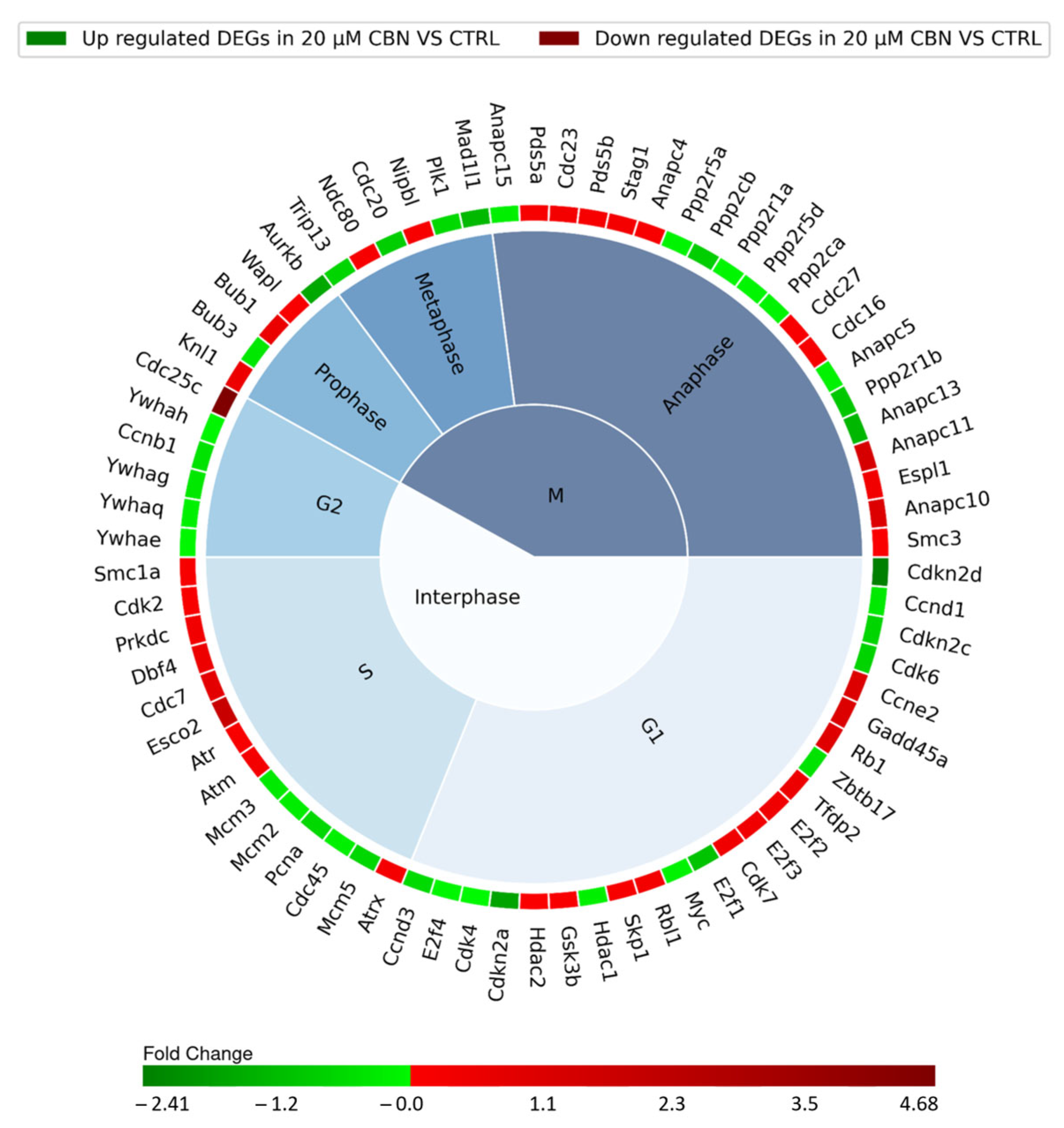 Biomedicines 12 01340 g005 Biomedicines 12 01340 g005