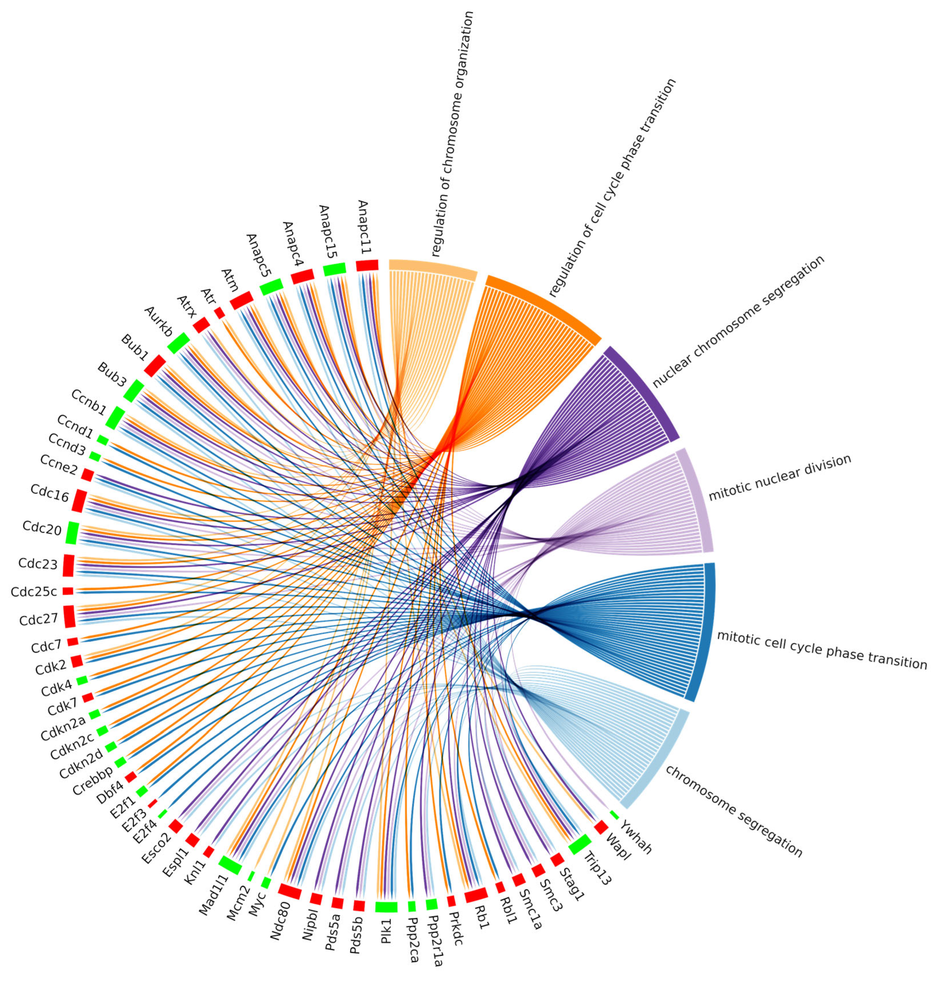 Biomedicines 12 01340 g007 Biomedicines 12 01340 g007