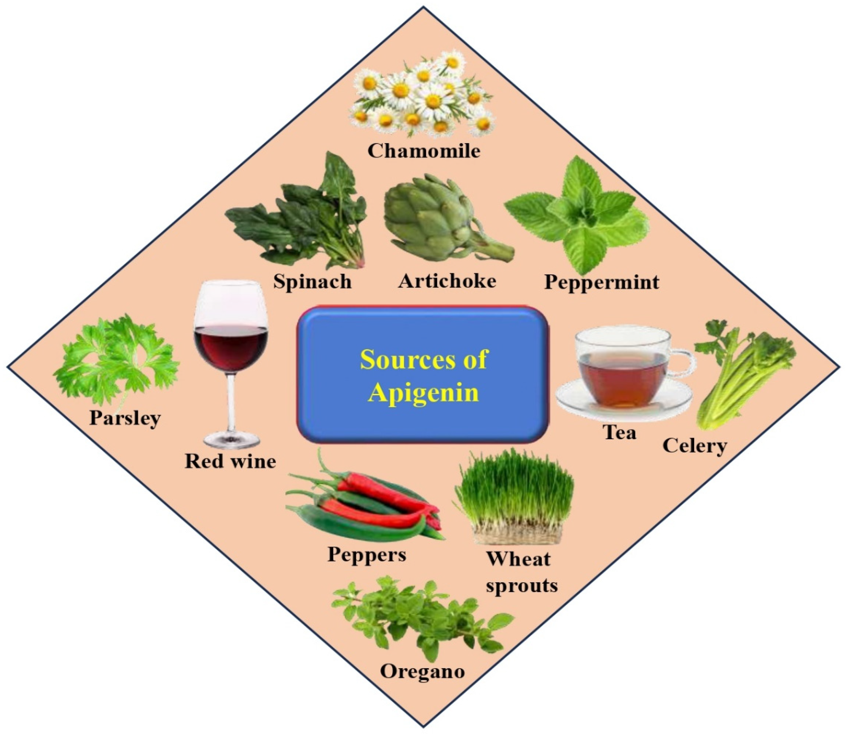 Biomedicines 12 01353 g002