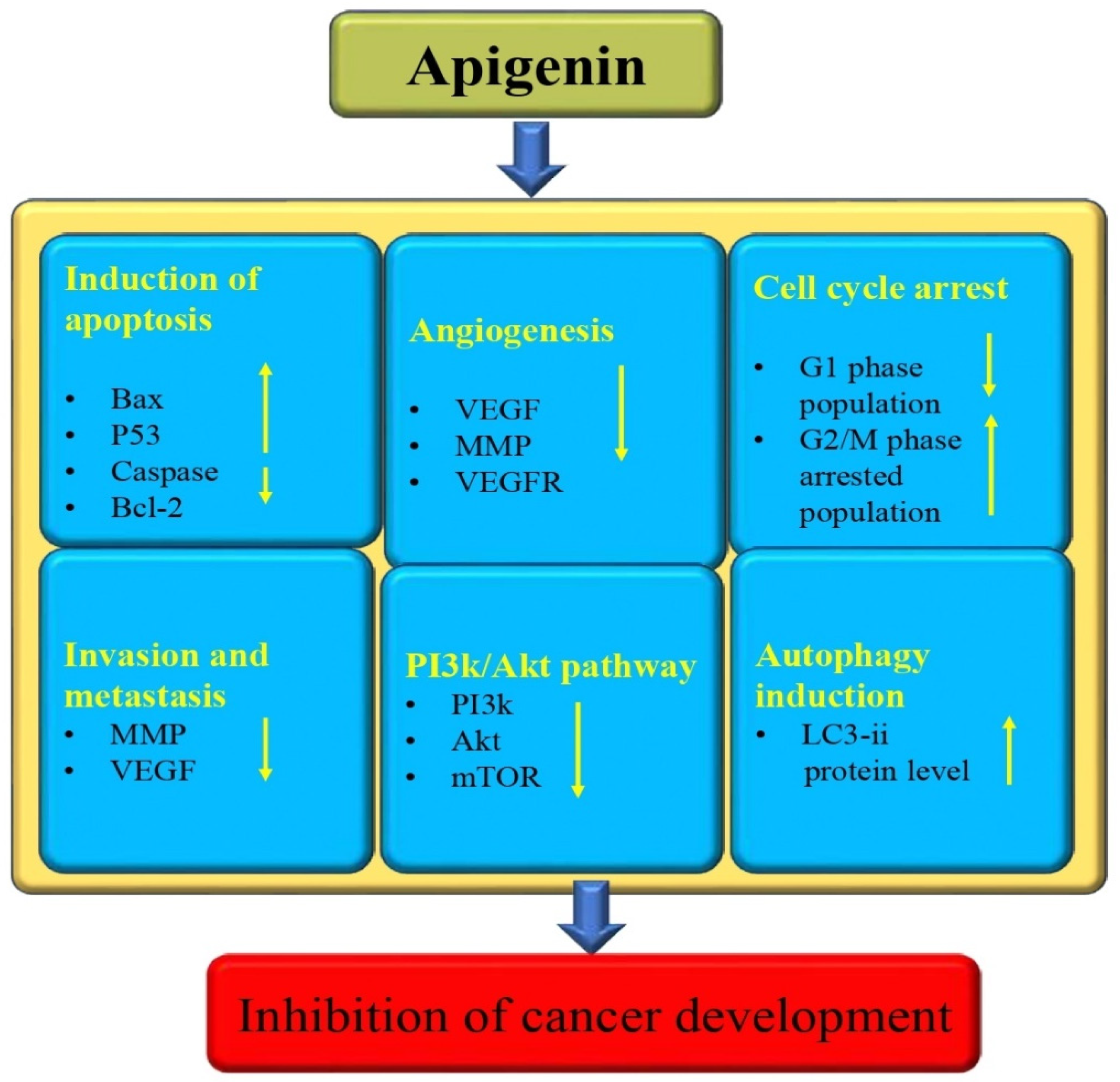 Biomedicines 12 01353 g008