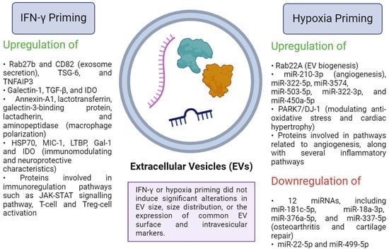 Biomedicines 12 01369 g001