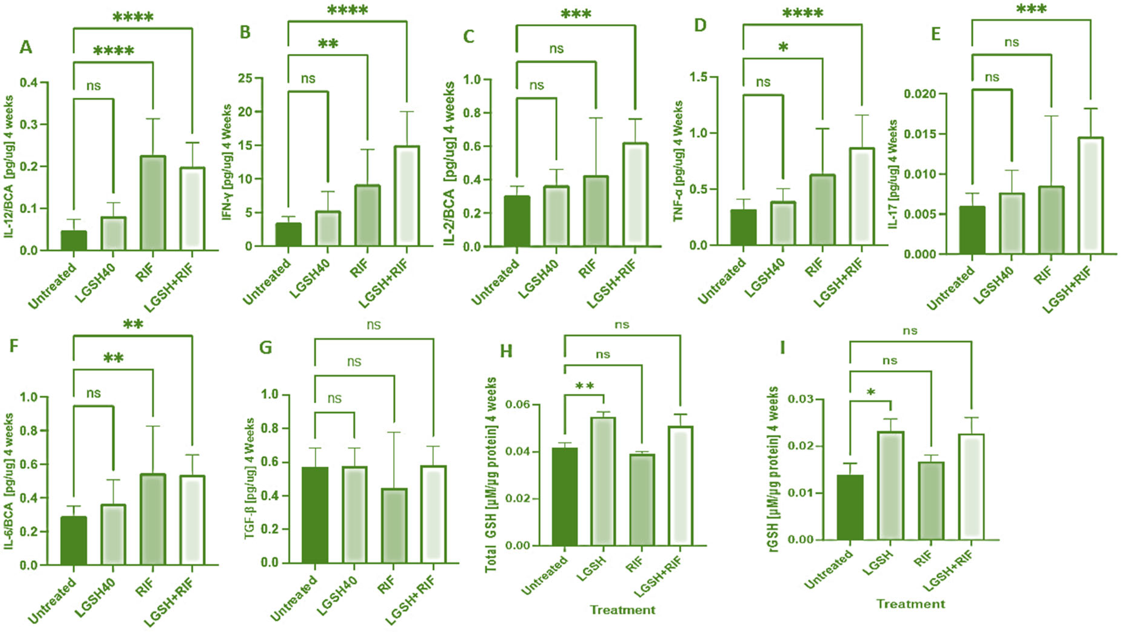 Biomedicines 12 01370 g001