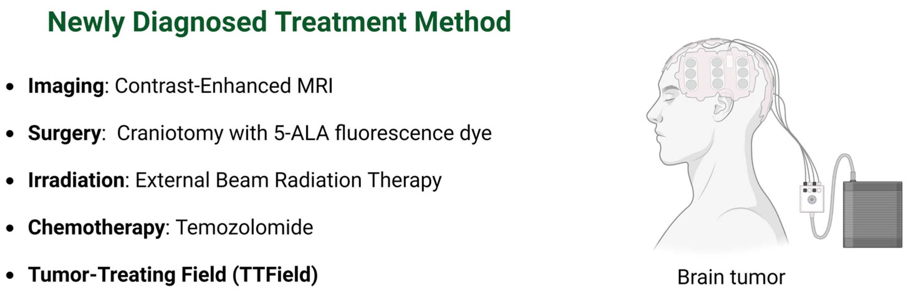 Biomedicines 12 01376 g003