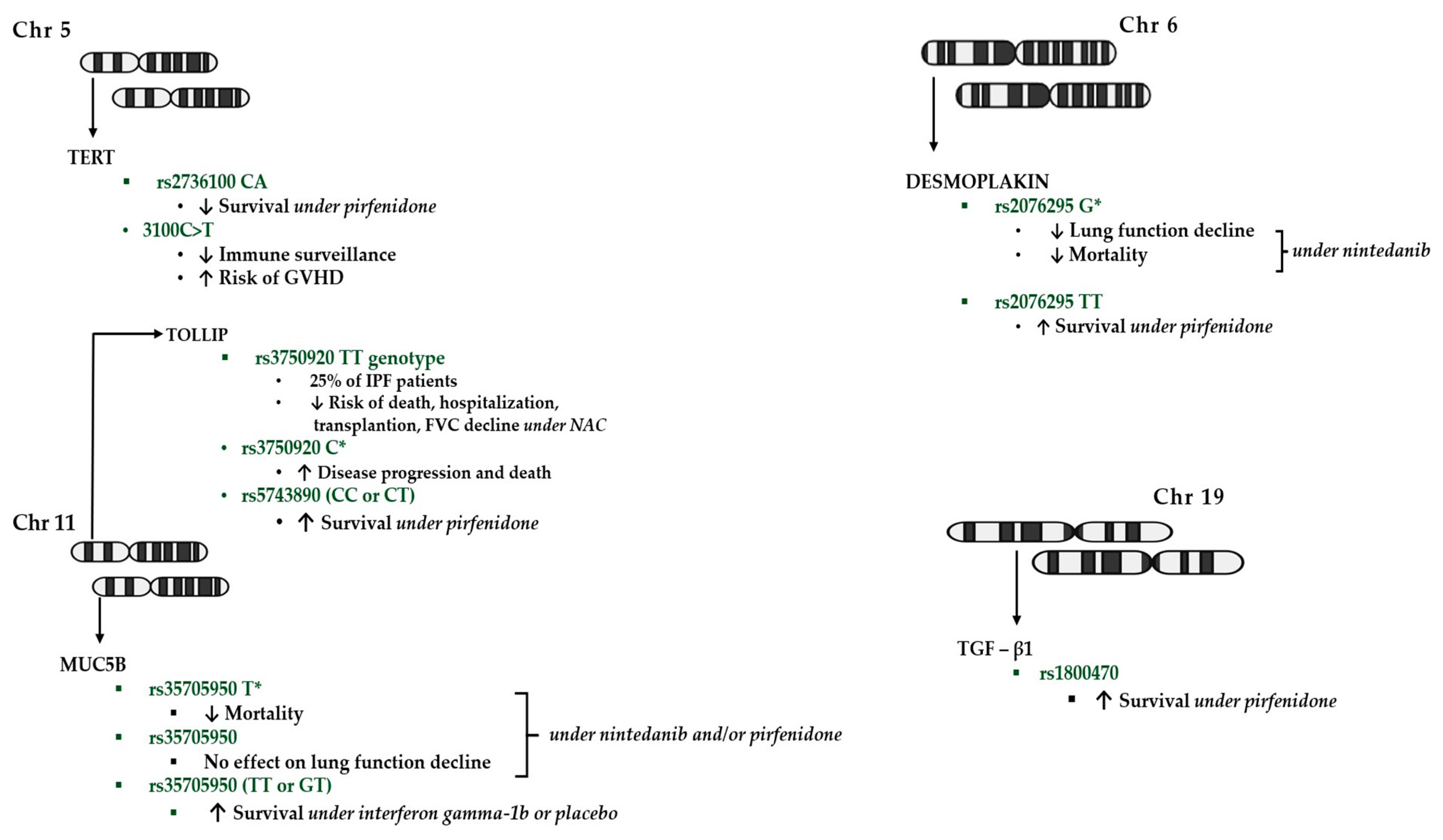 Biomedicines 12 01384 g001