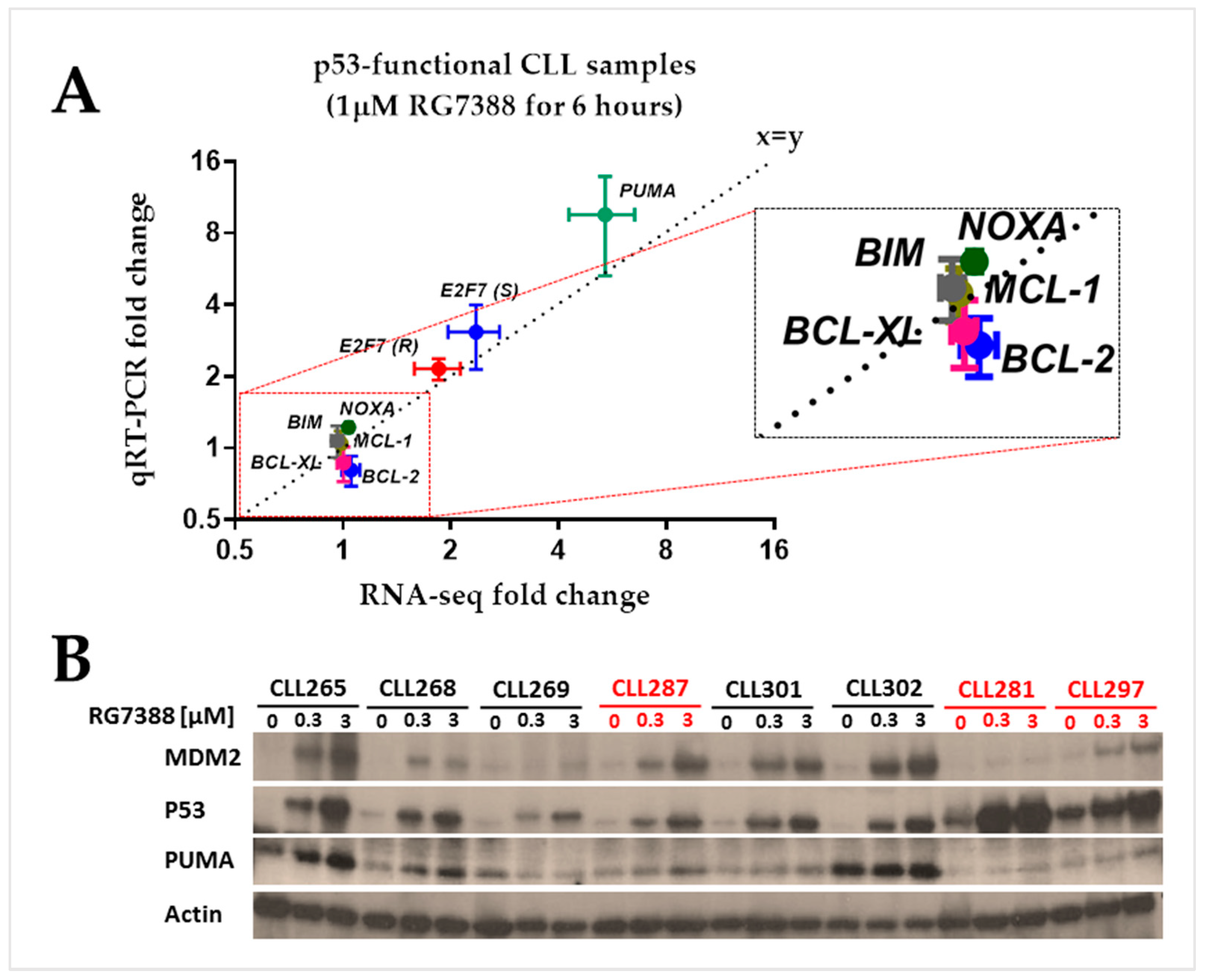 Biomedicines 12 01388 g005 Biomedicines 12 01388 g005