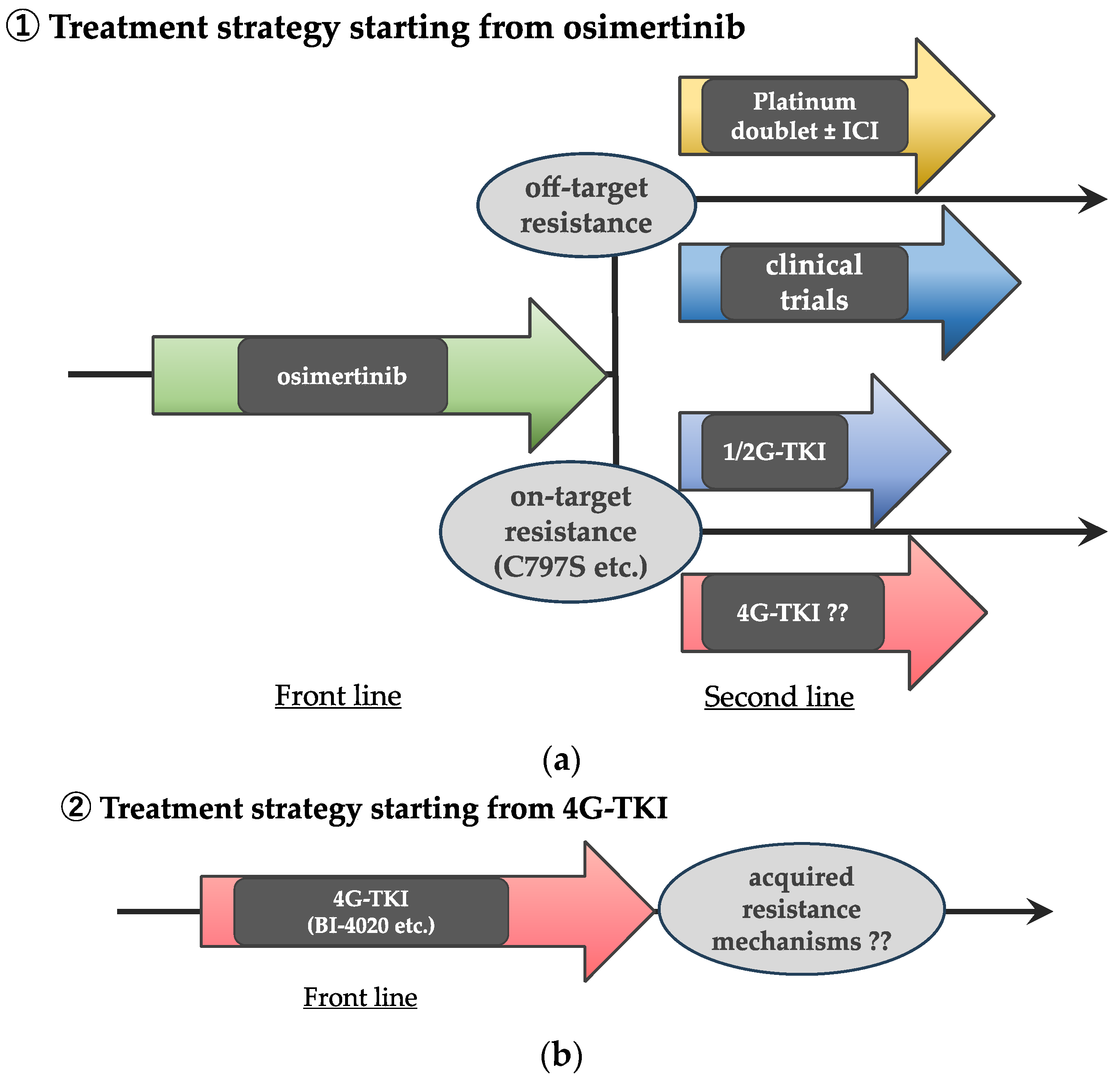 Biomedicines 12 01412 g001