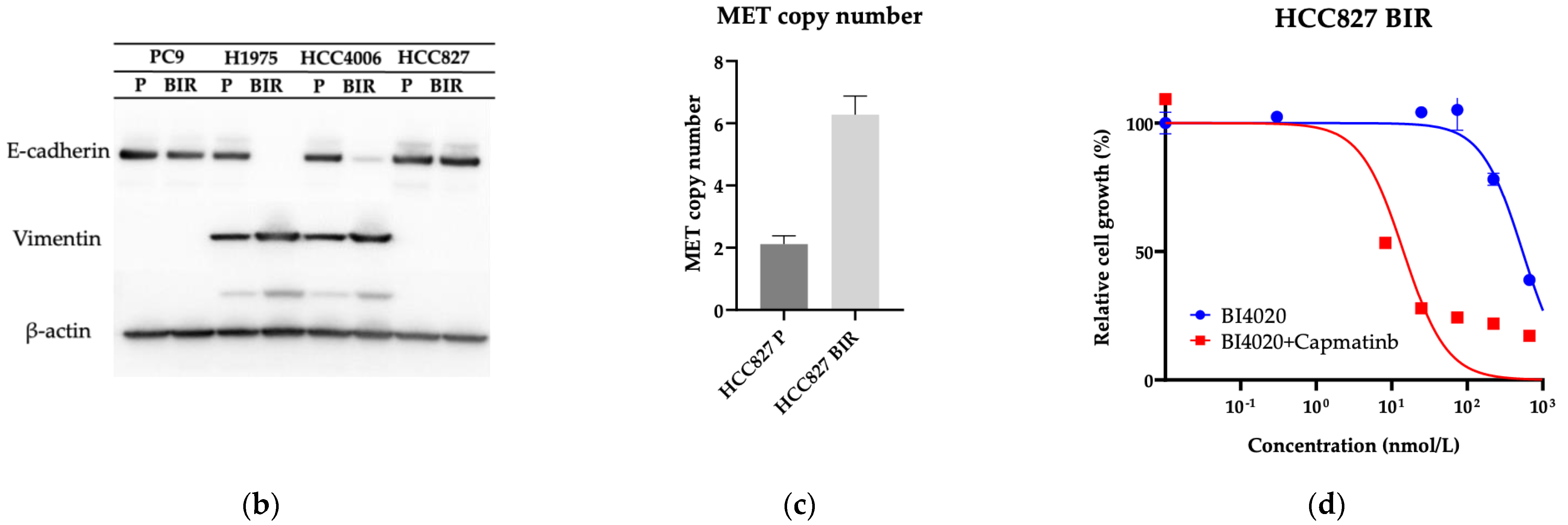 Biomedicines 12 01412 g004b
