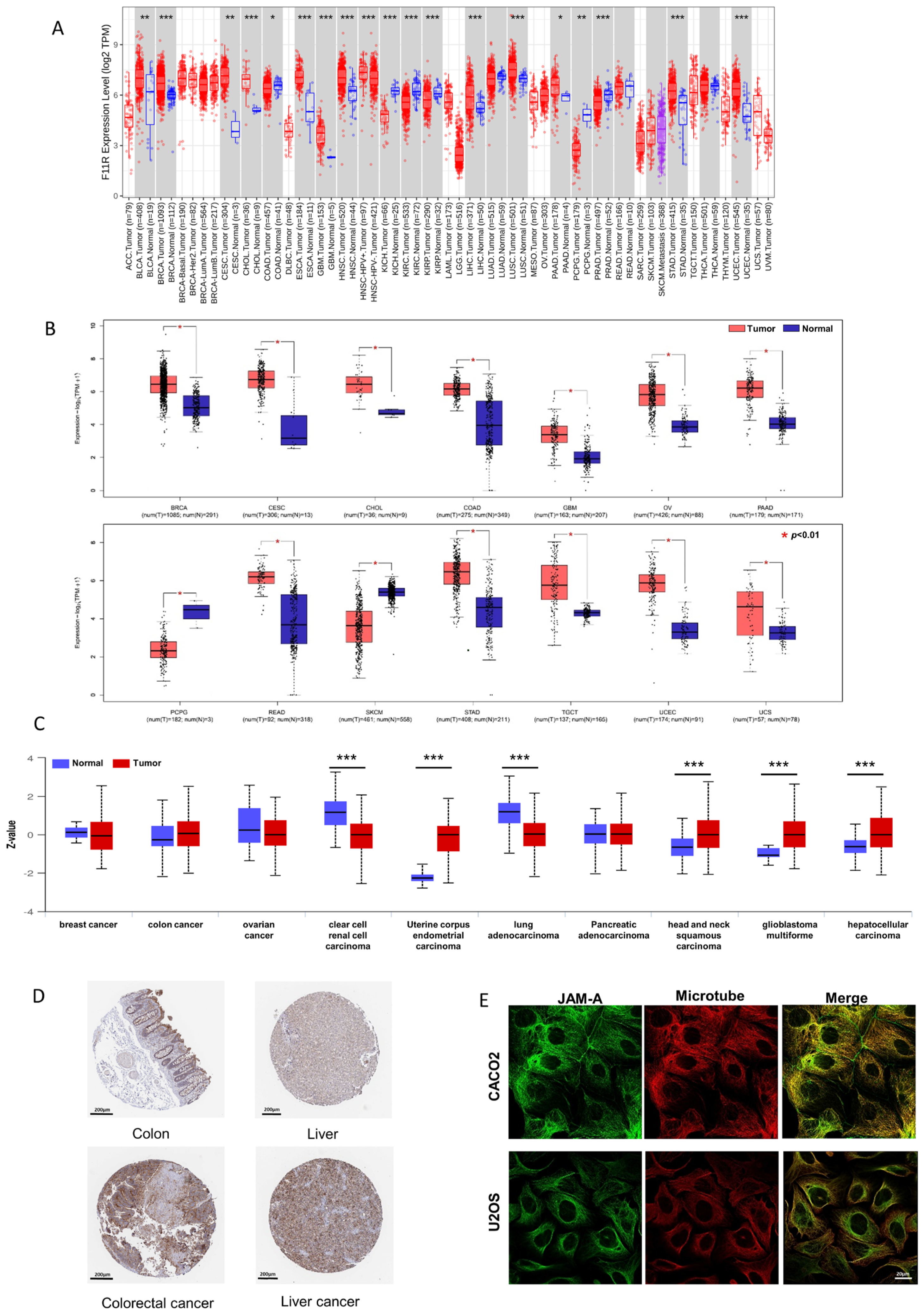 Biomedicines 12 01423 g001