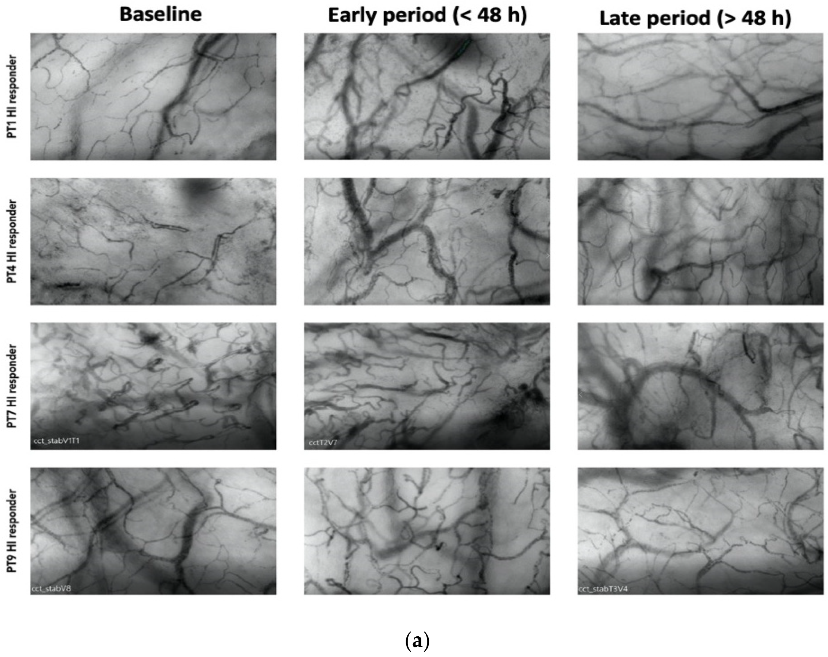 Biomedicines 12 01435 g002a