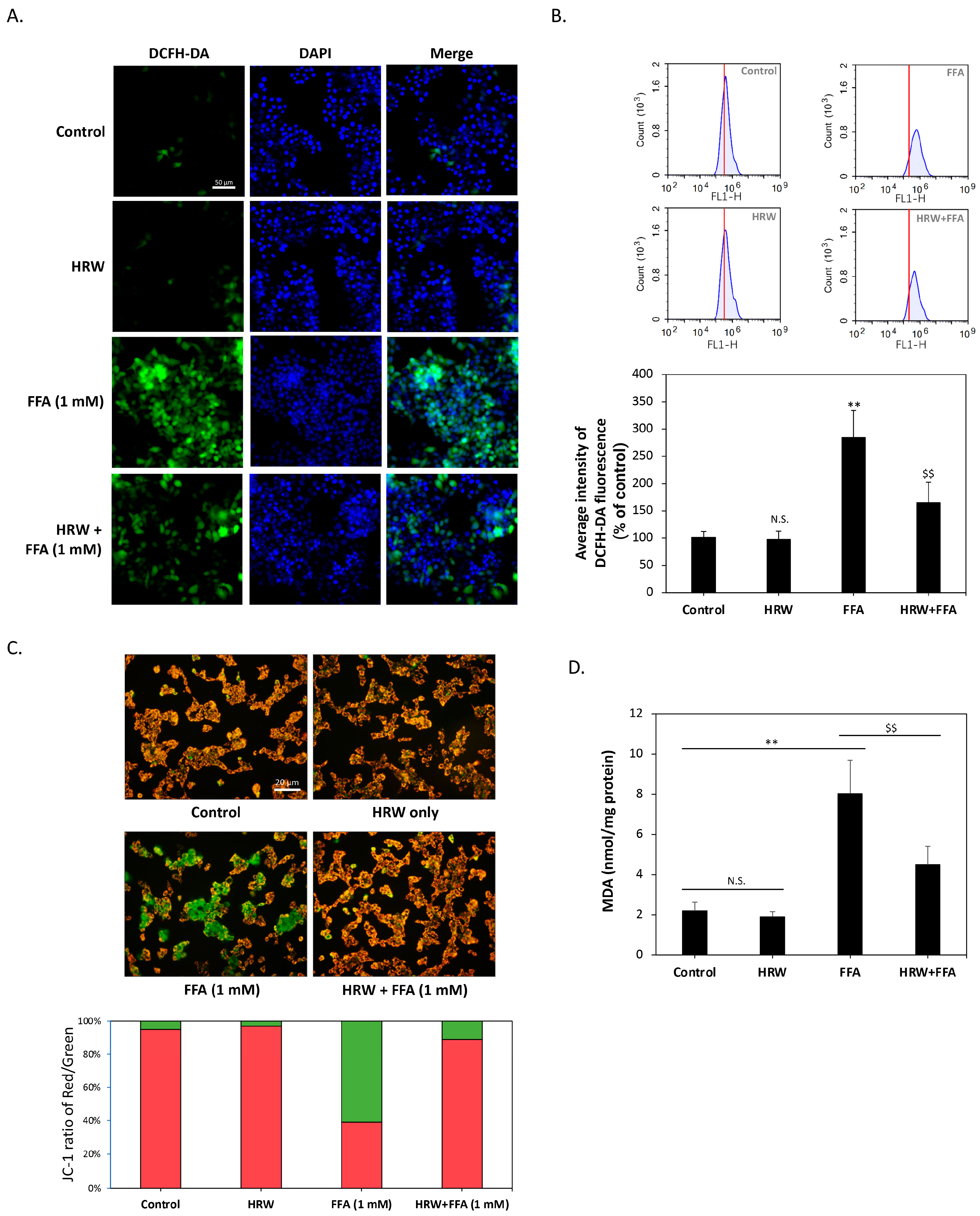 Biomedicines 12 01444 g003