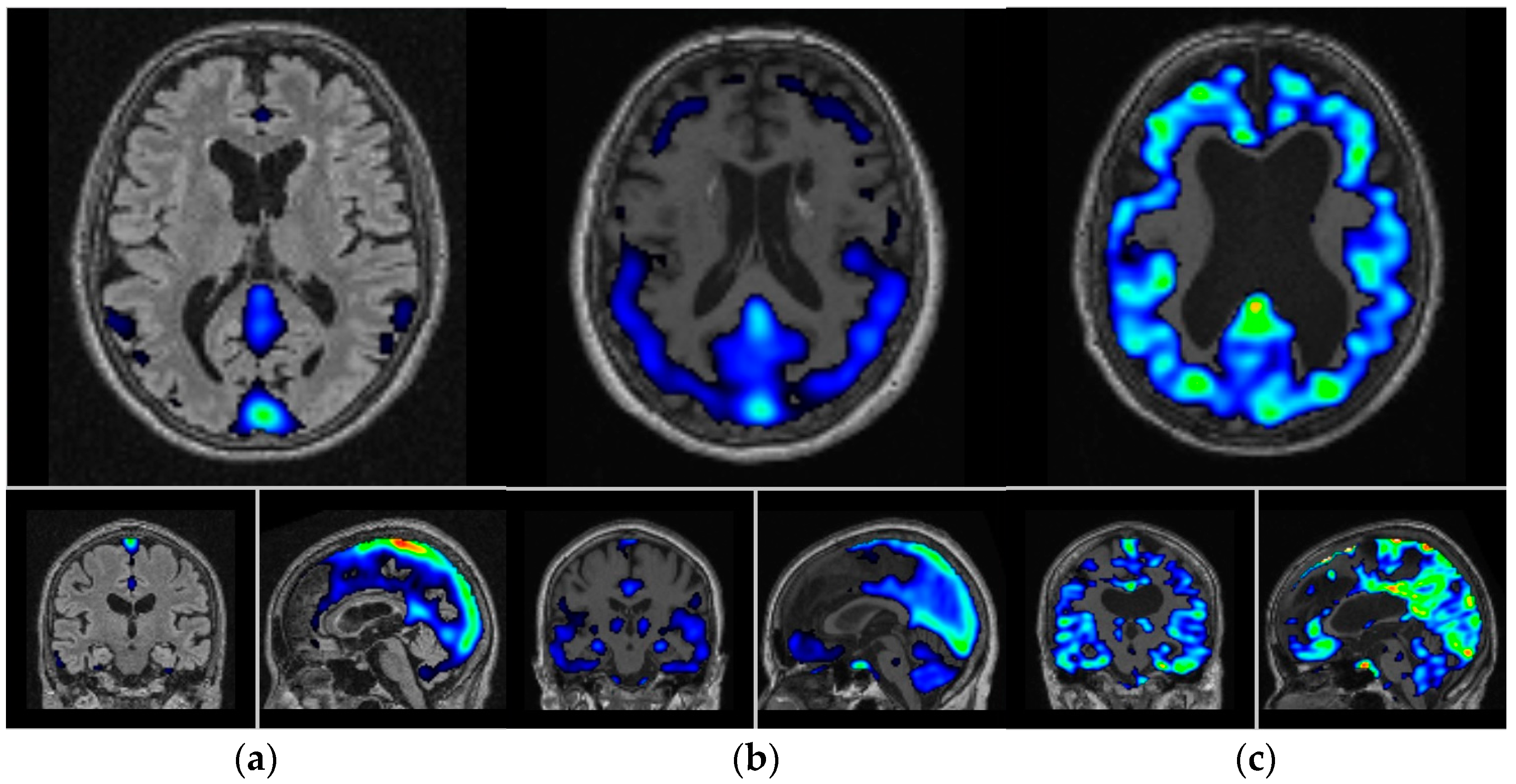 Biomedicines 12 01460 g001