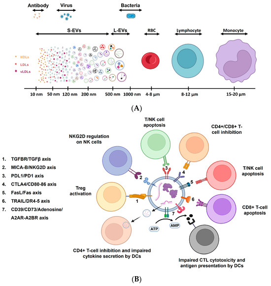 Biomedicines 12 01469 g006