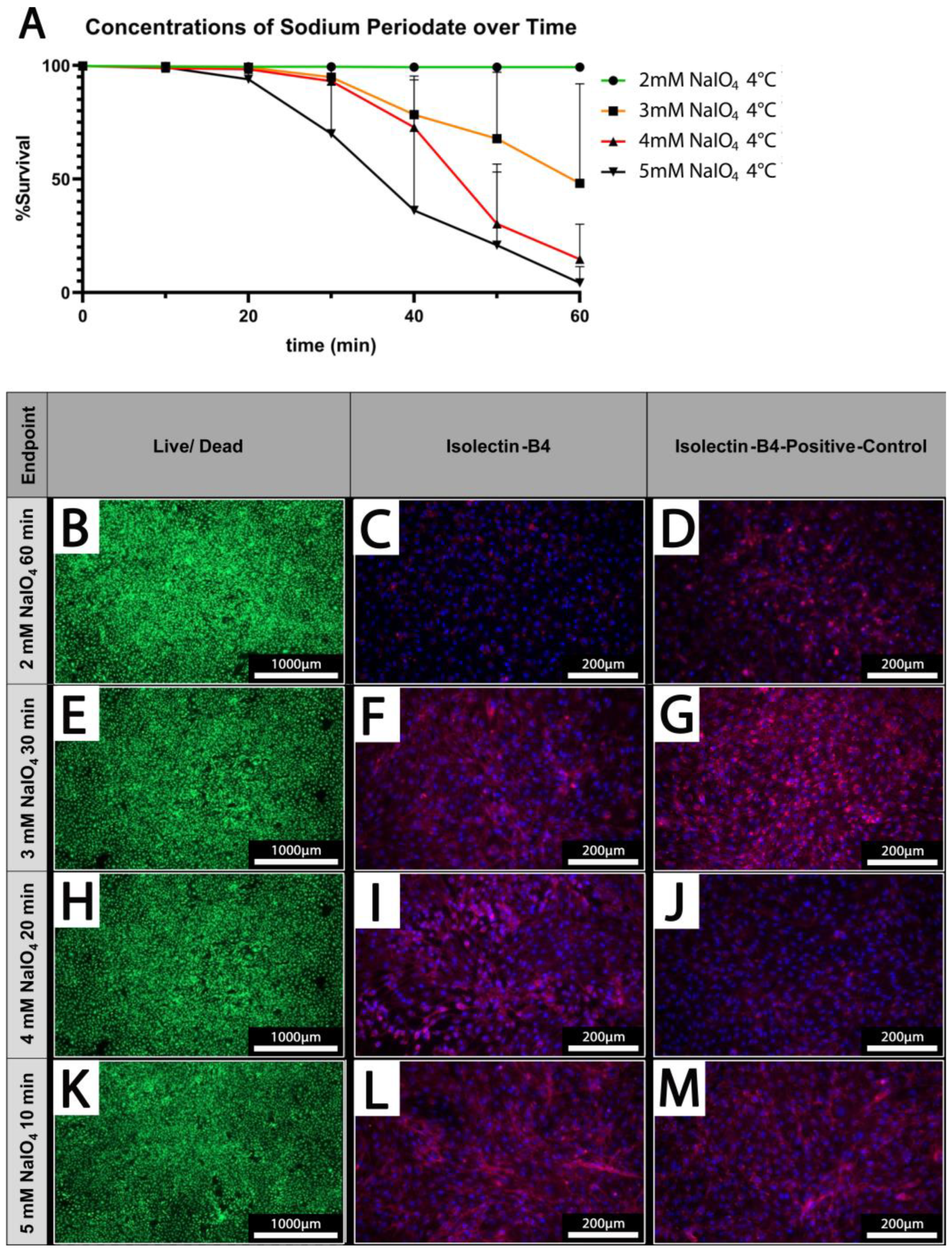Biomedicines 12 01470 g004
