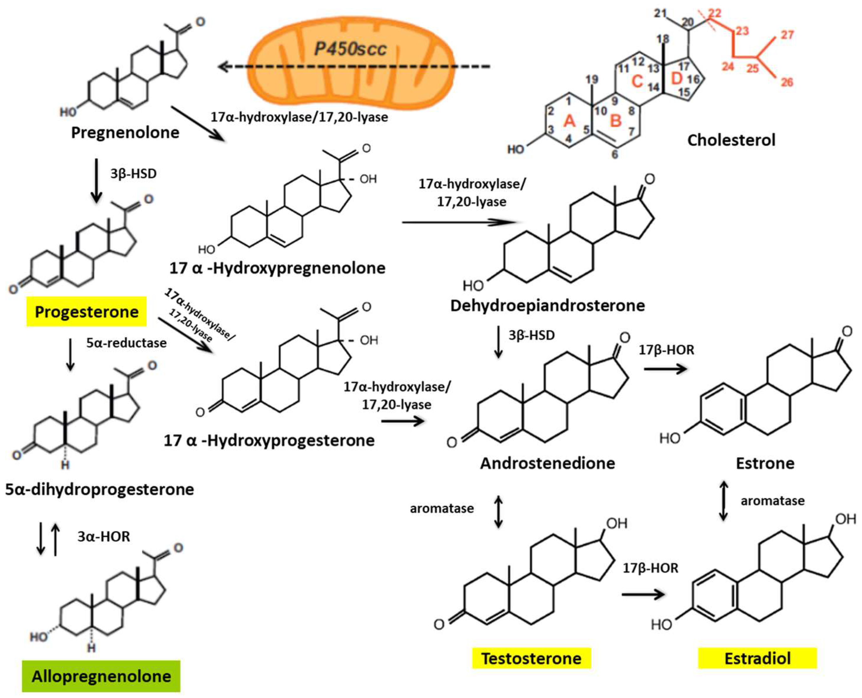 Biomedicines 12 01478 g001