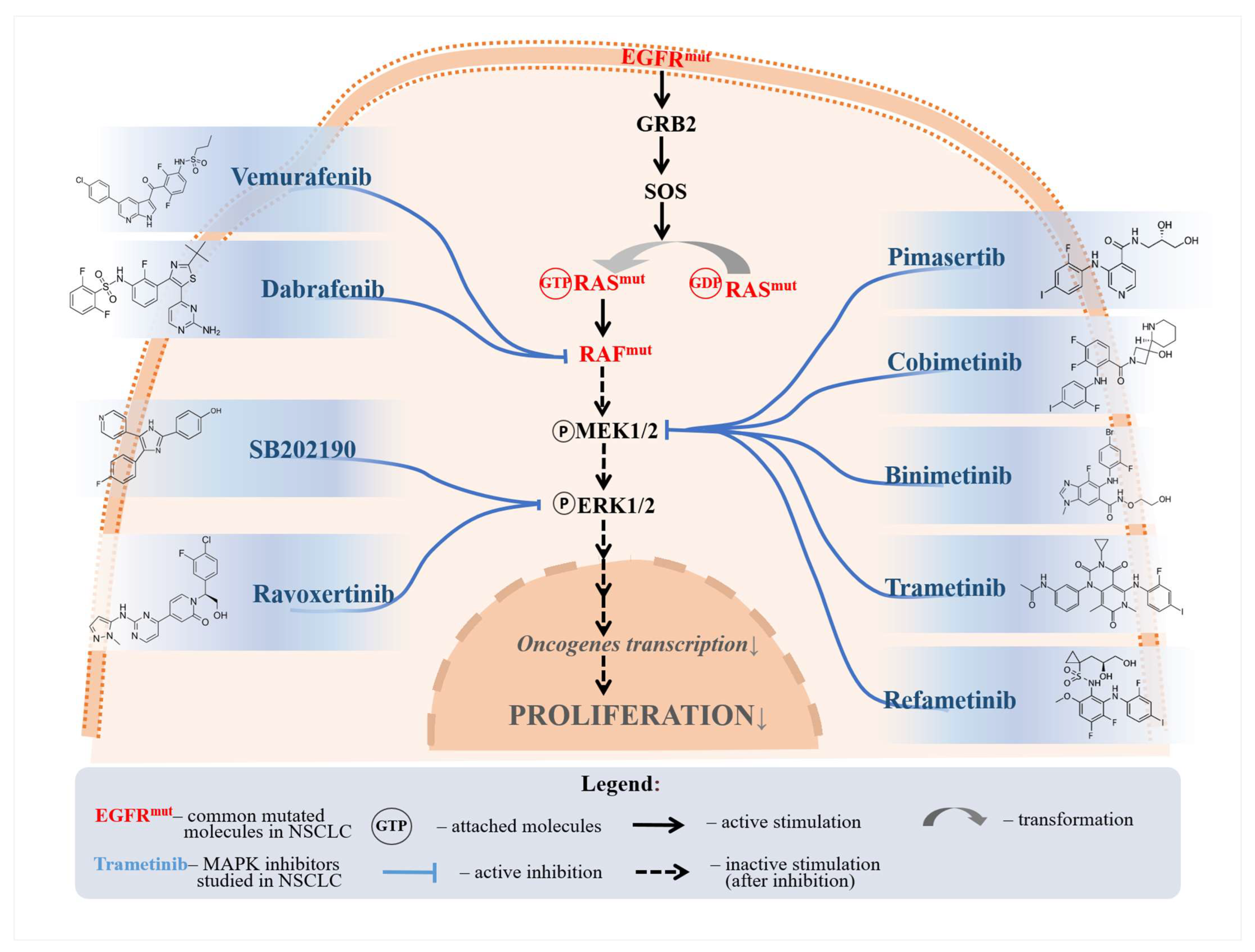 Biomedicines 12 01489 g002