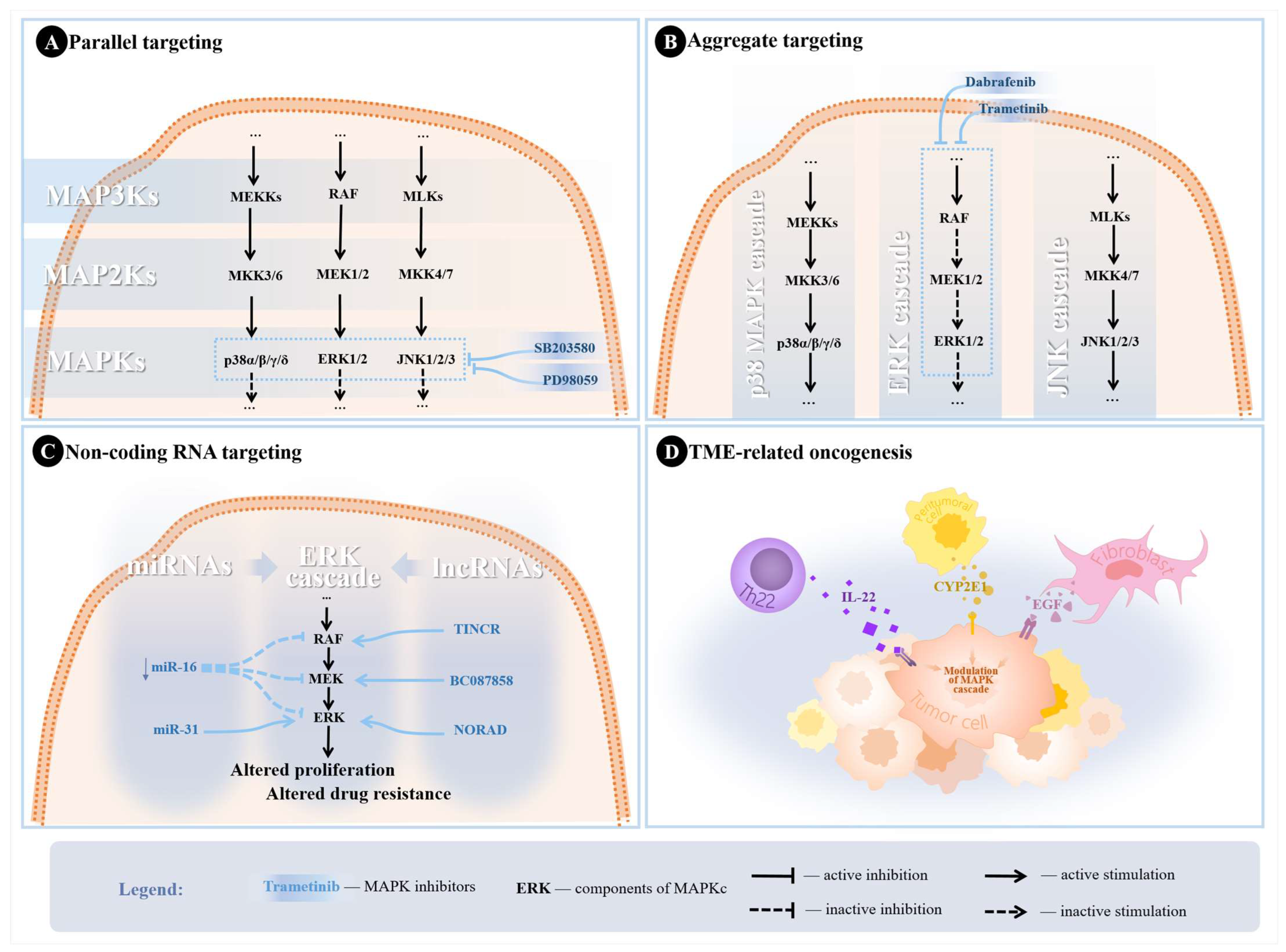 Biomedicines 12 01489 g003
