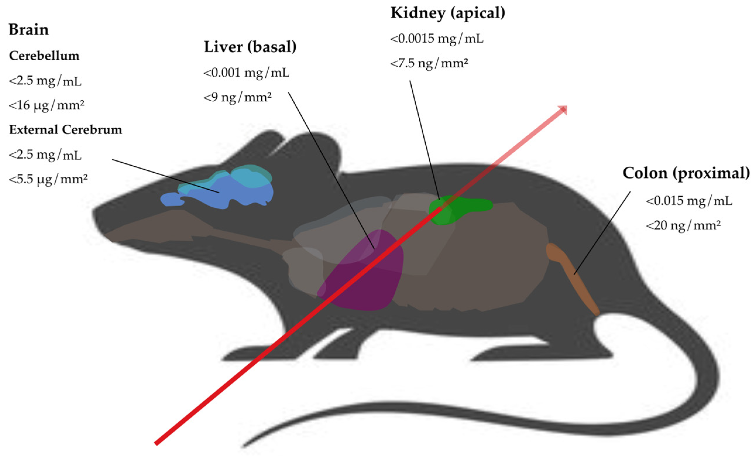 Biomedicines 12 01500 g005 Biomedicines 12 01500 g005