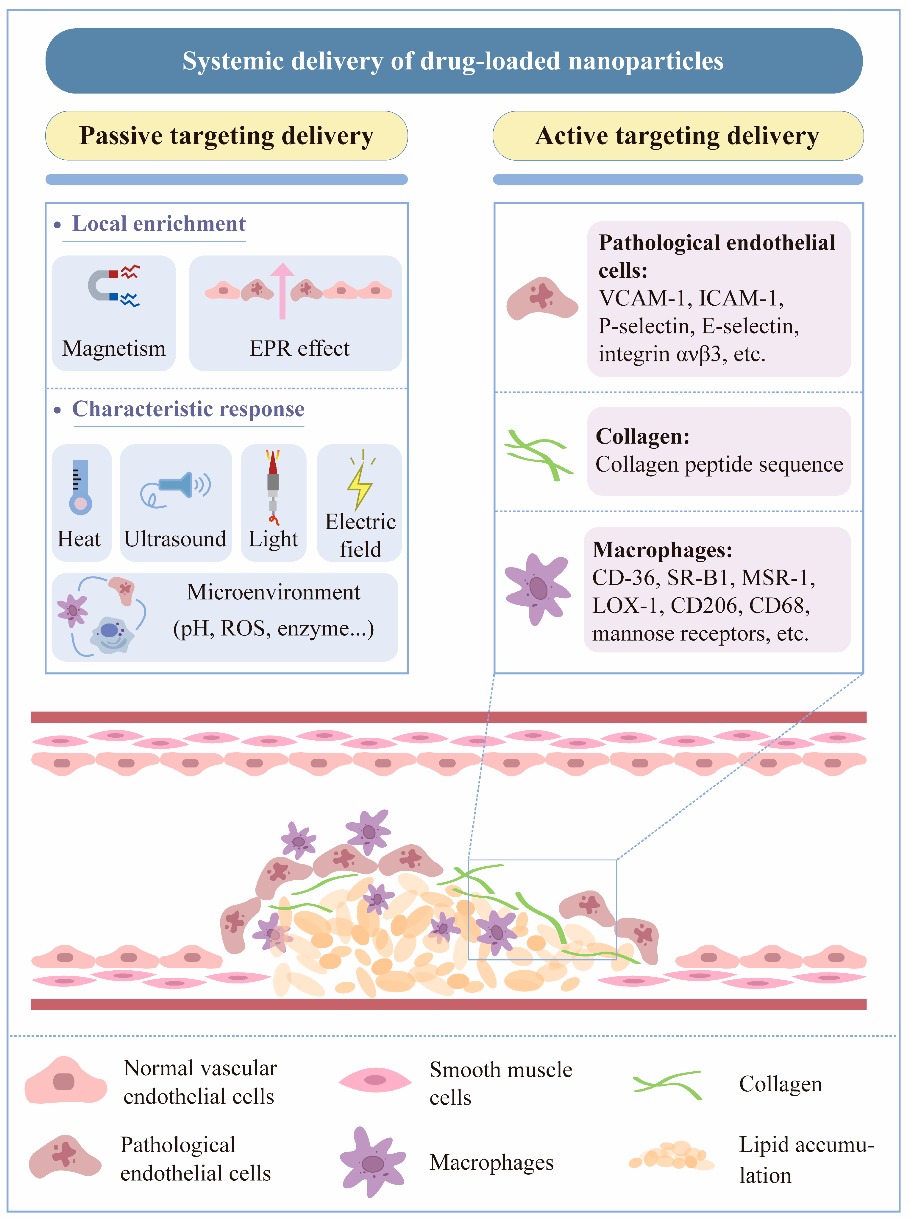Biomedicines 12 01504 g002