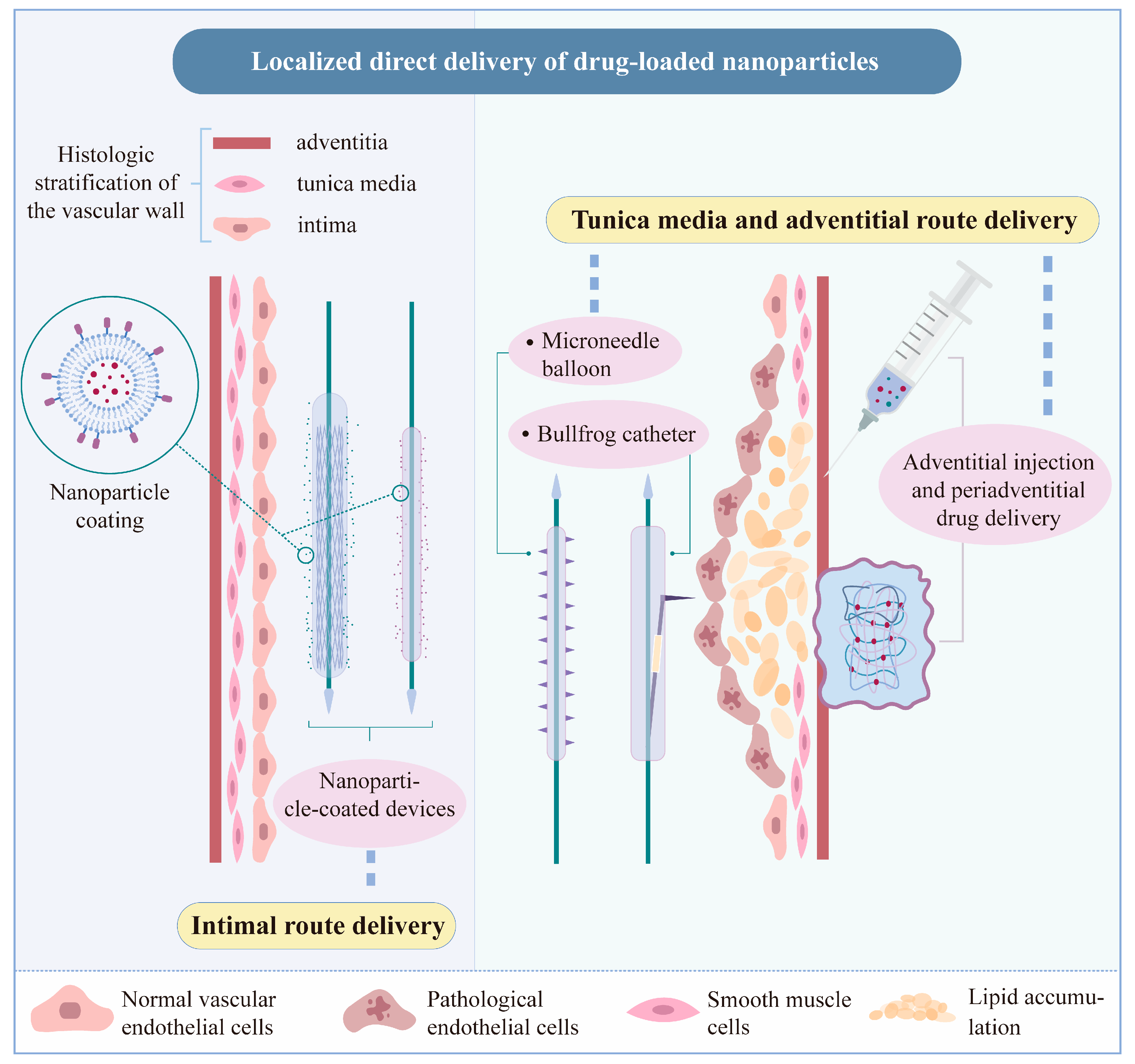 Biomedicines 12 01504 g003