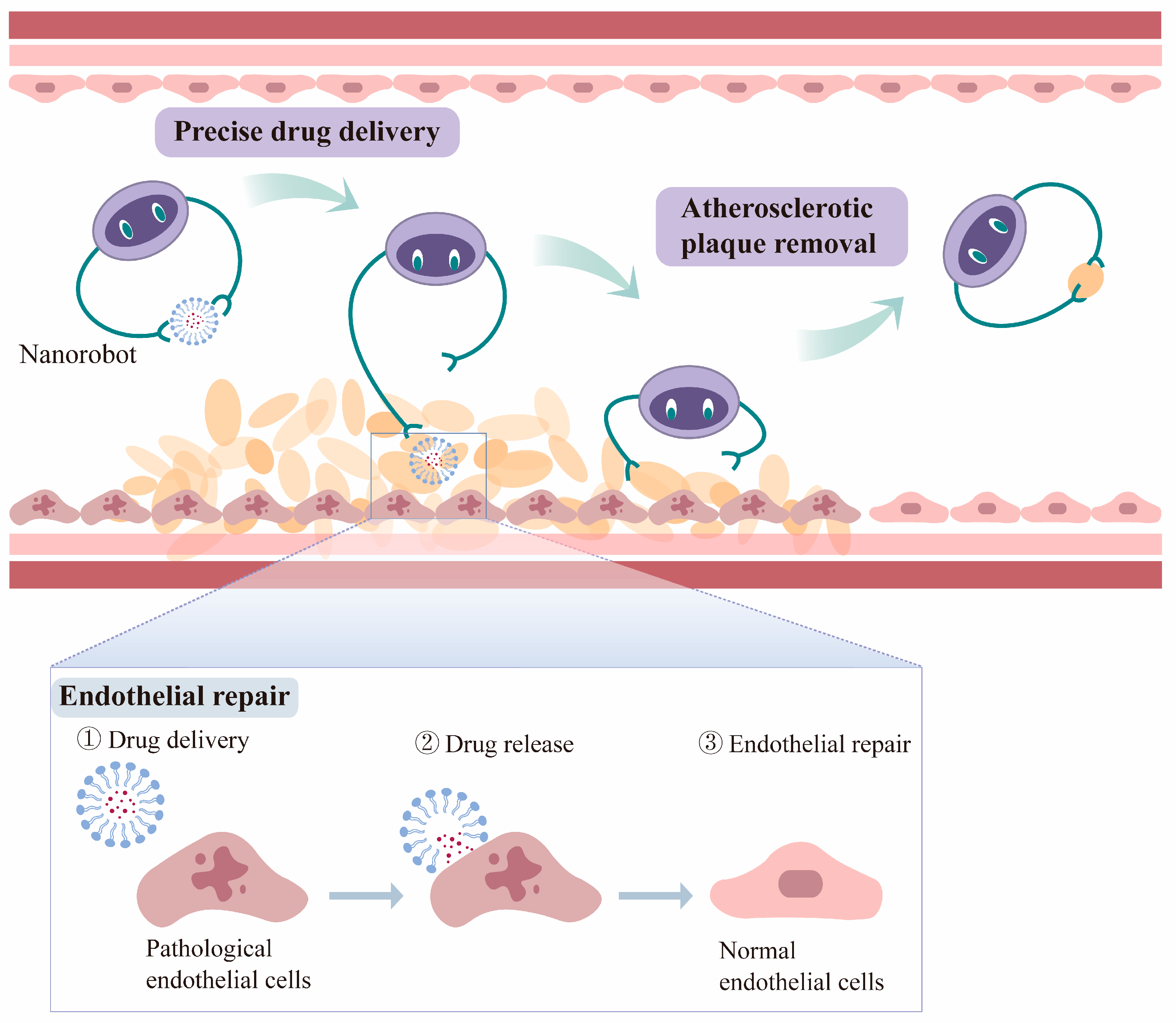 Biomedicines 12 01504 g004