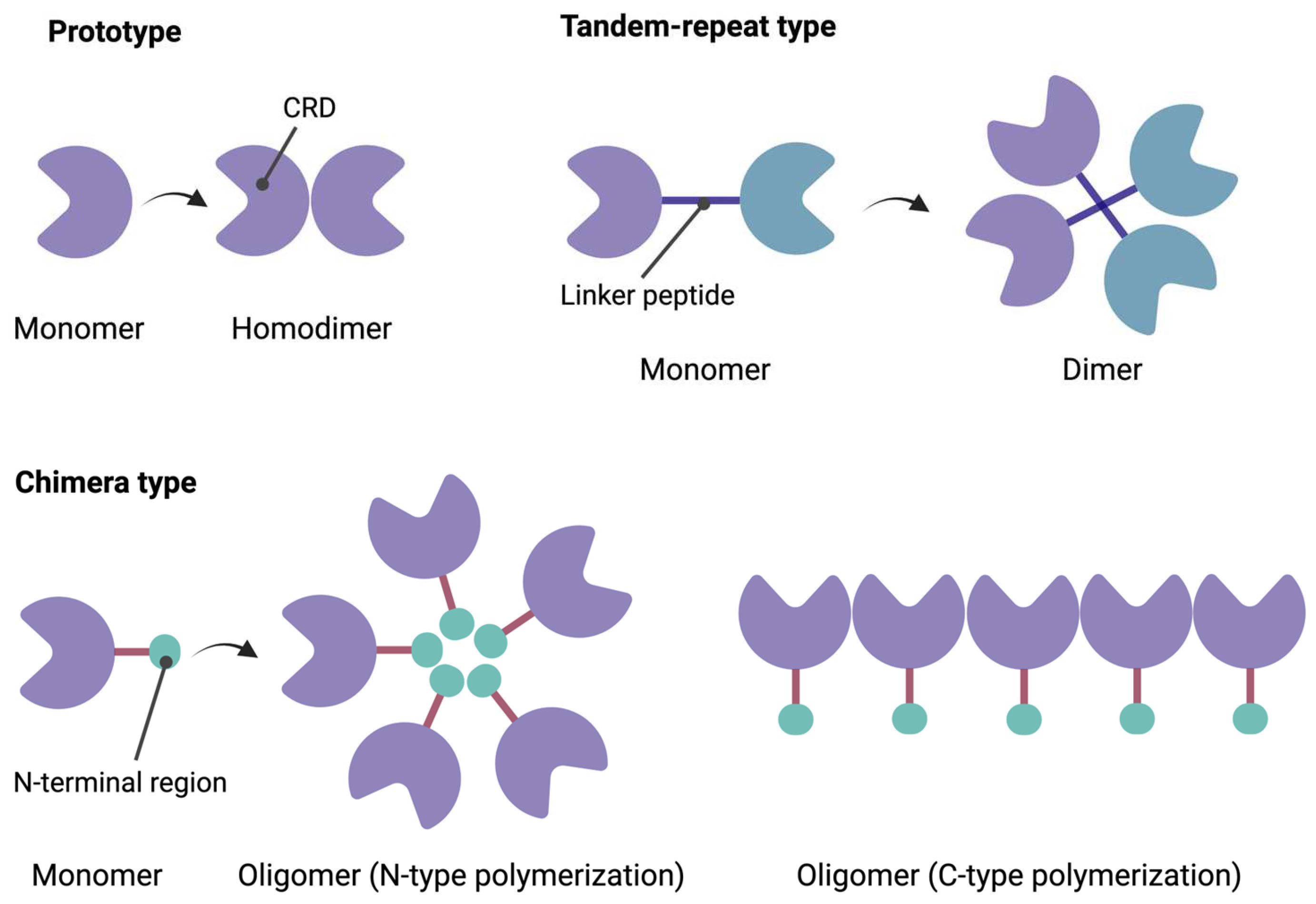 Biomedicines 12 01508 g001 Biomedicines 12 01508 g001