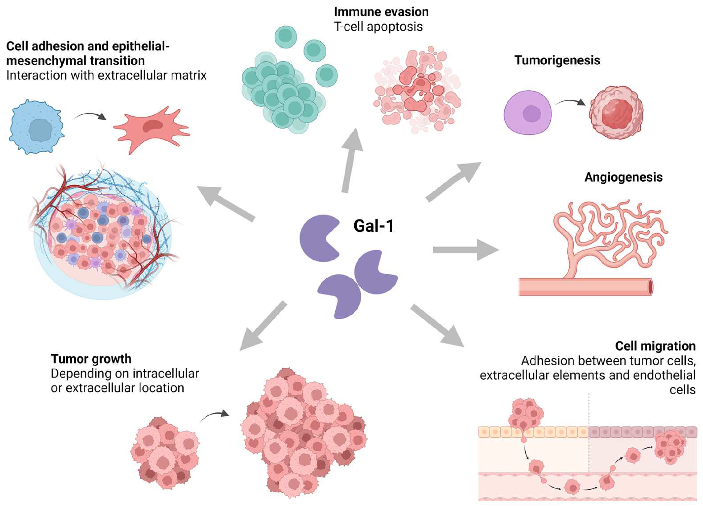 Biomedicines 12 01508 g002 Biomedicines 12 01508 g002