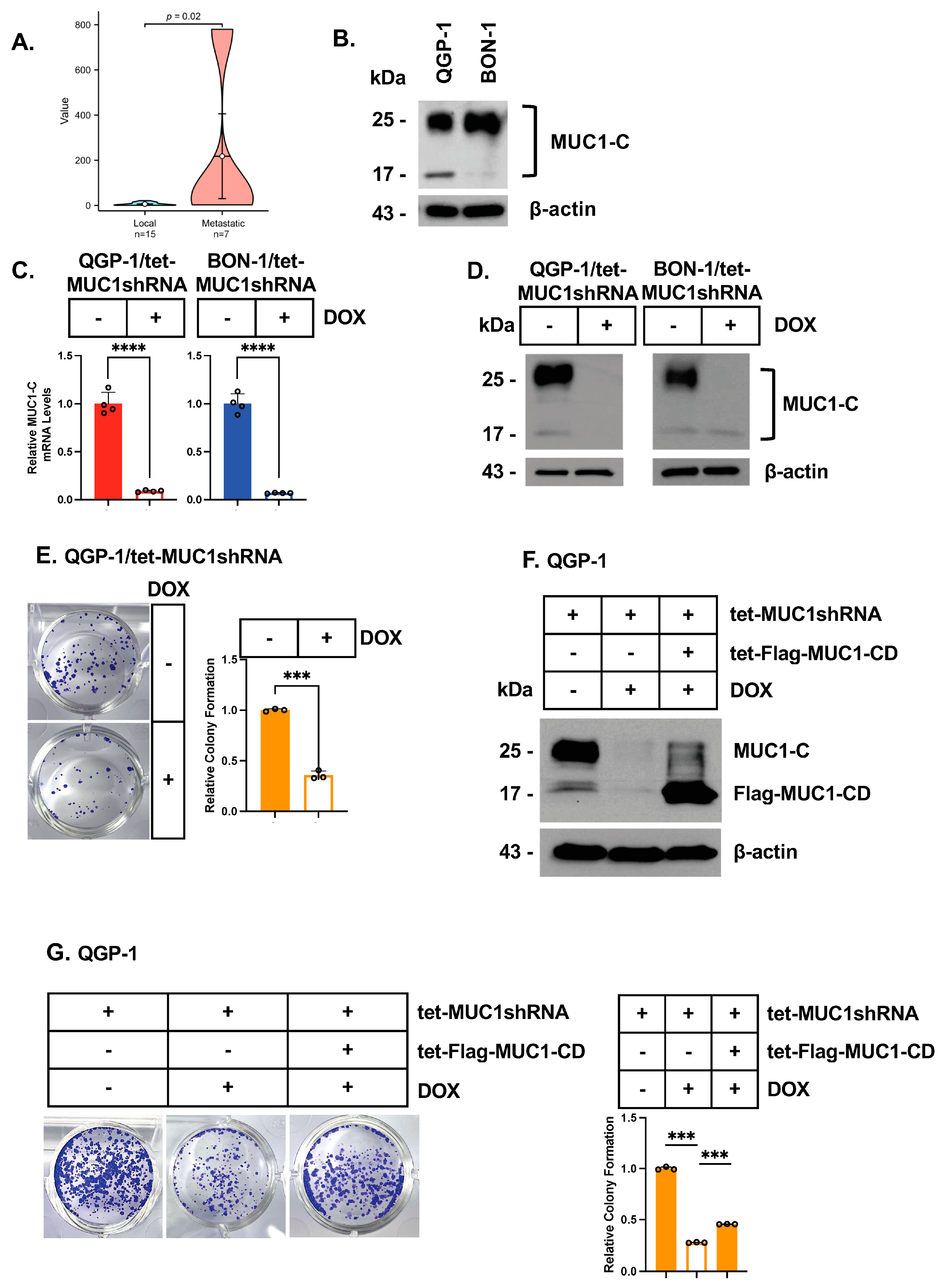 Biomedicines 12 01509 g001 Biomedicines 12 01509 g001