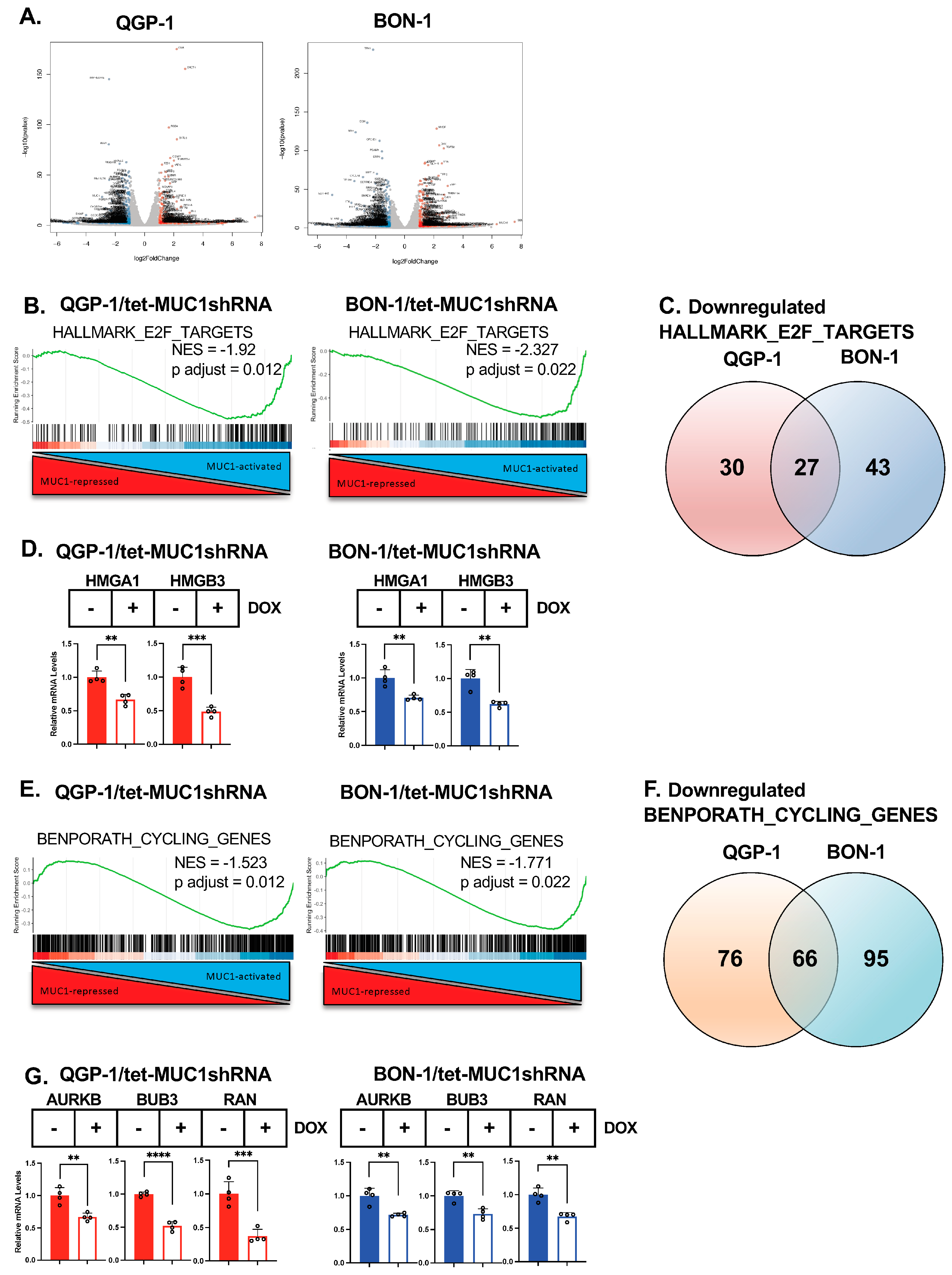 Biomedicines 12 01509 g002 Biomedicines 12 01509 g002