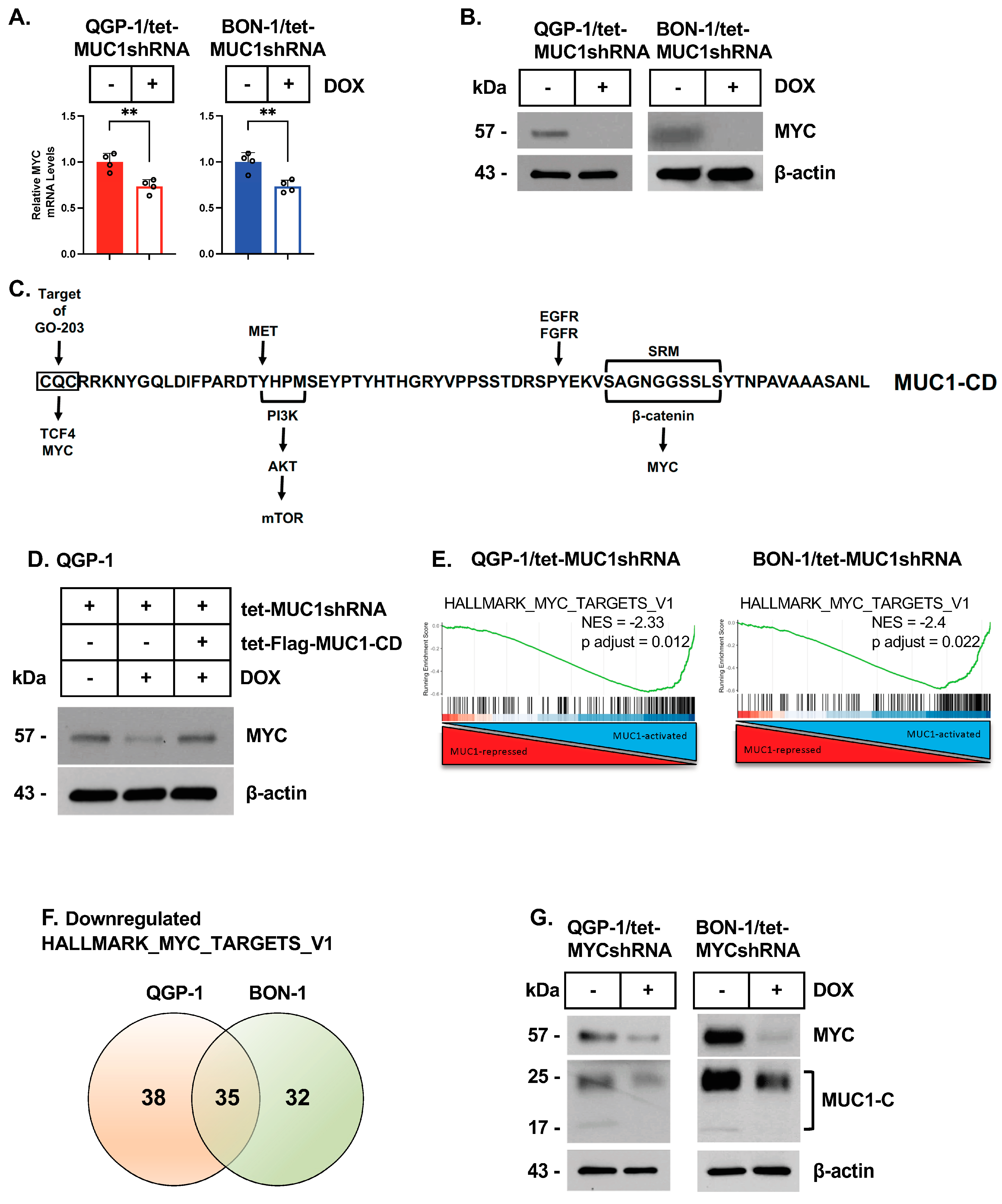 Biomedicines 12 01509 g003 Biomedicines 12 01509 g003