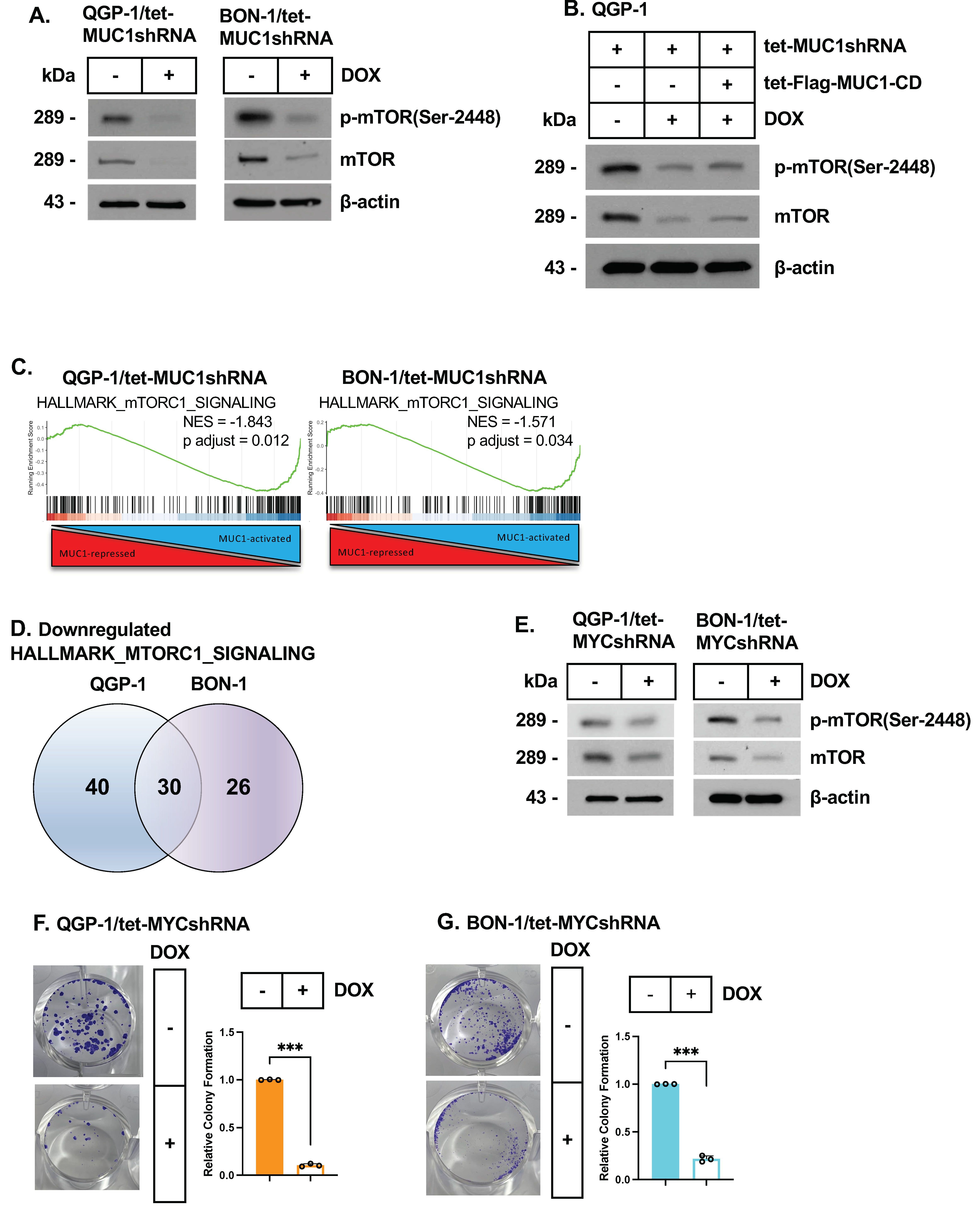 Biomedicines 12 01509 g004 Biomedicines 12 01509 g004