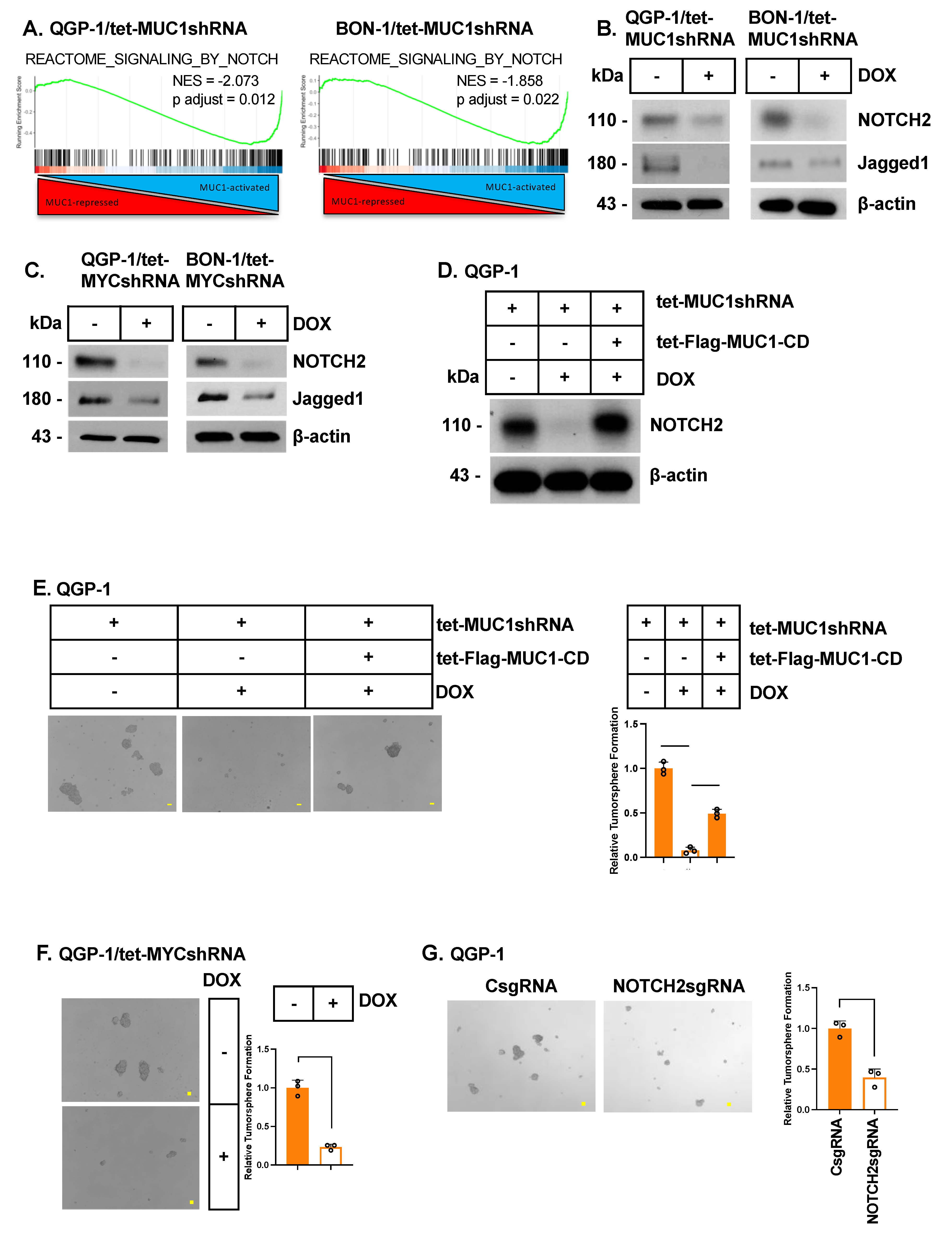 Biomedicines 12 01509 g005 Biomedicines 12 01509 g005