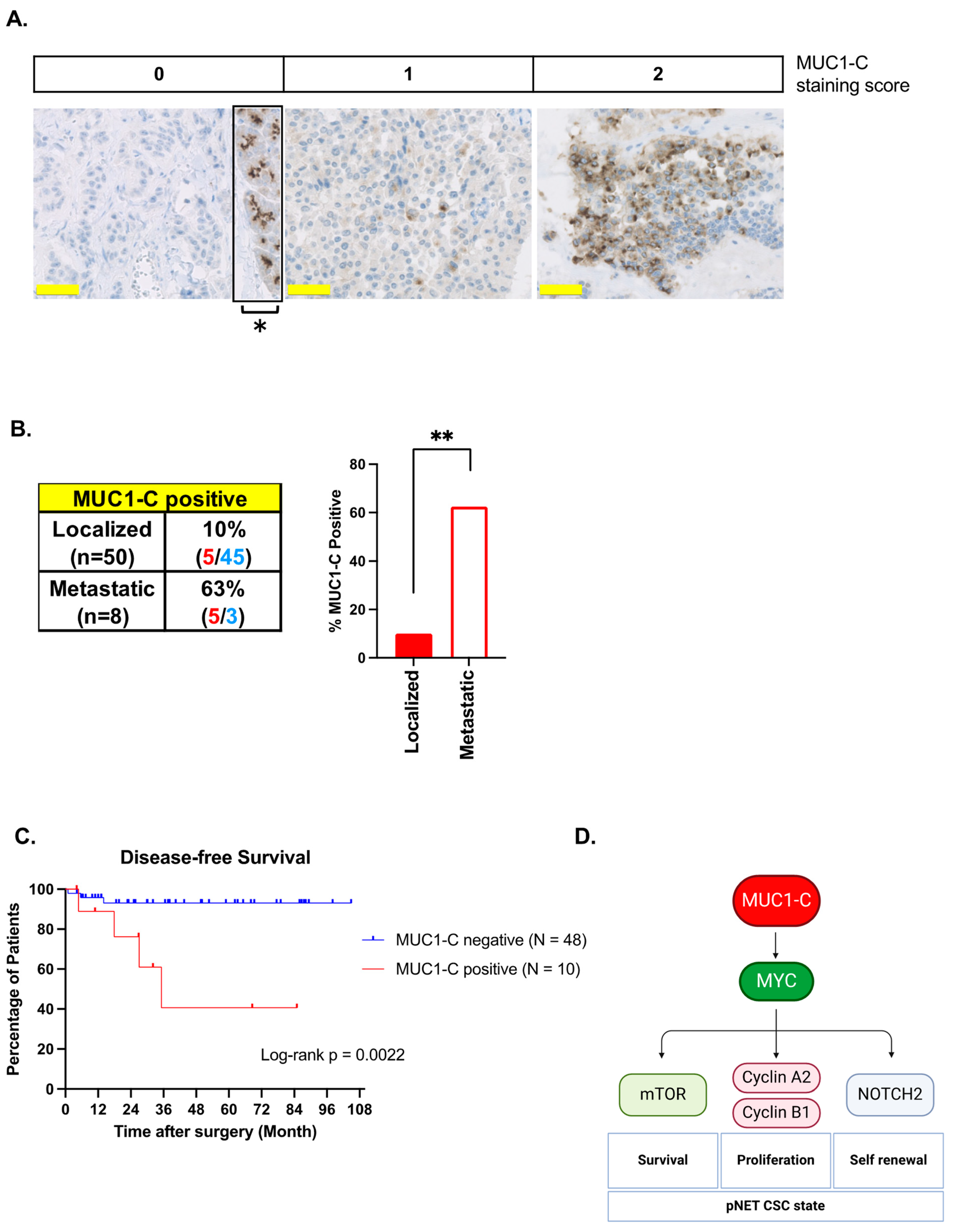Biomedicines 12 01509 g007 Biomedicines 12 01509 g007
