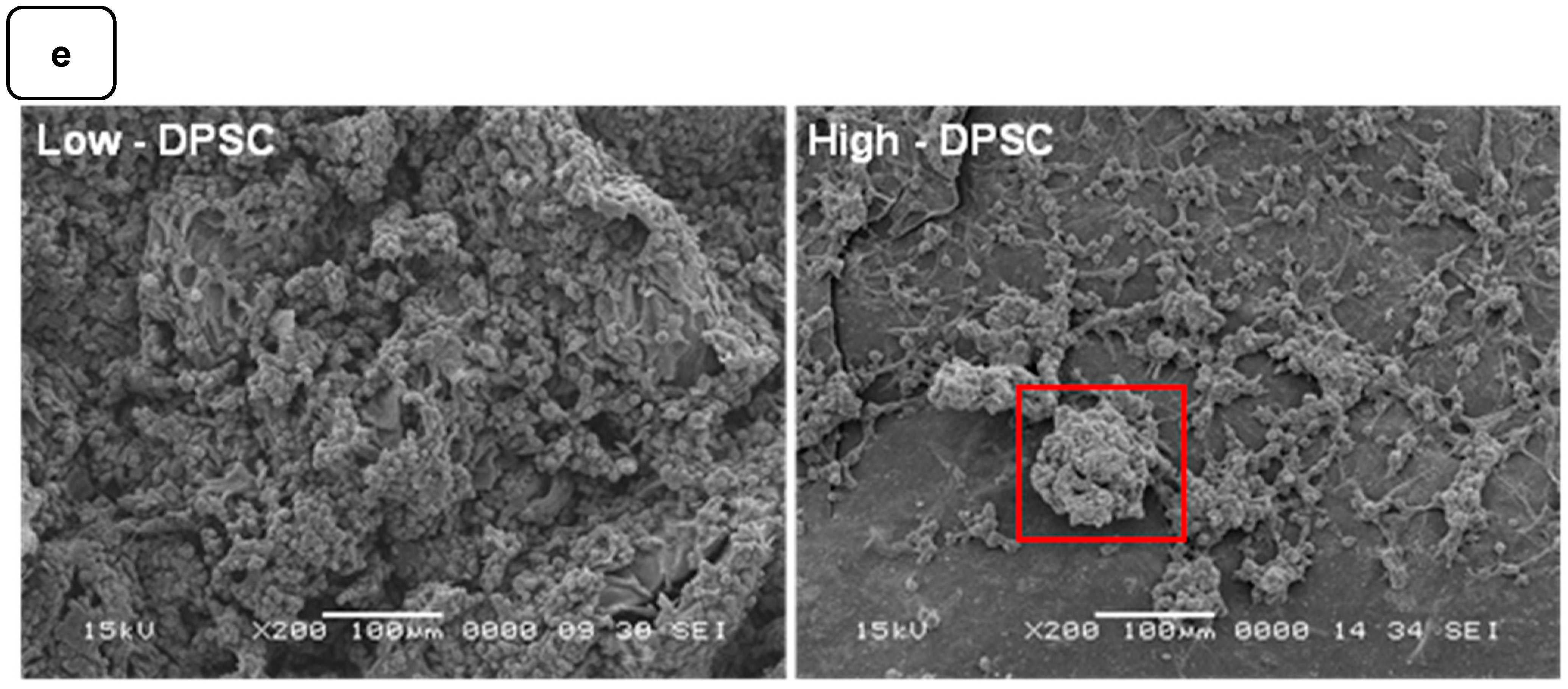 Biomedicines 12 01510 g006b