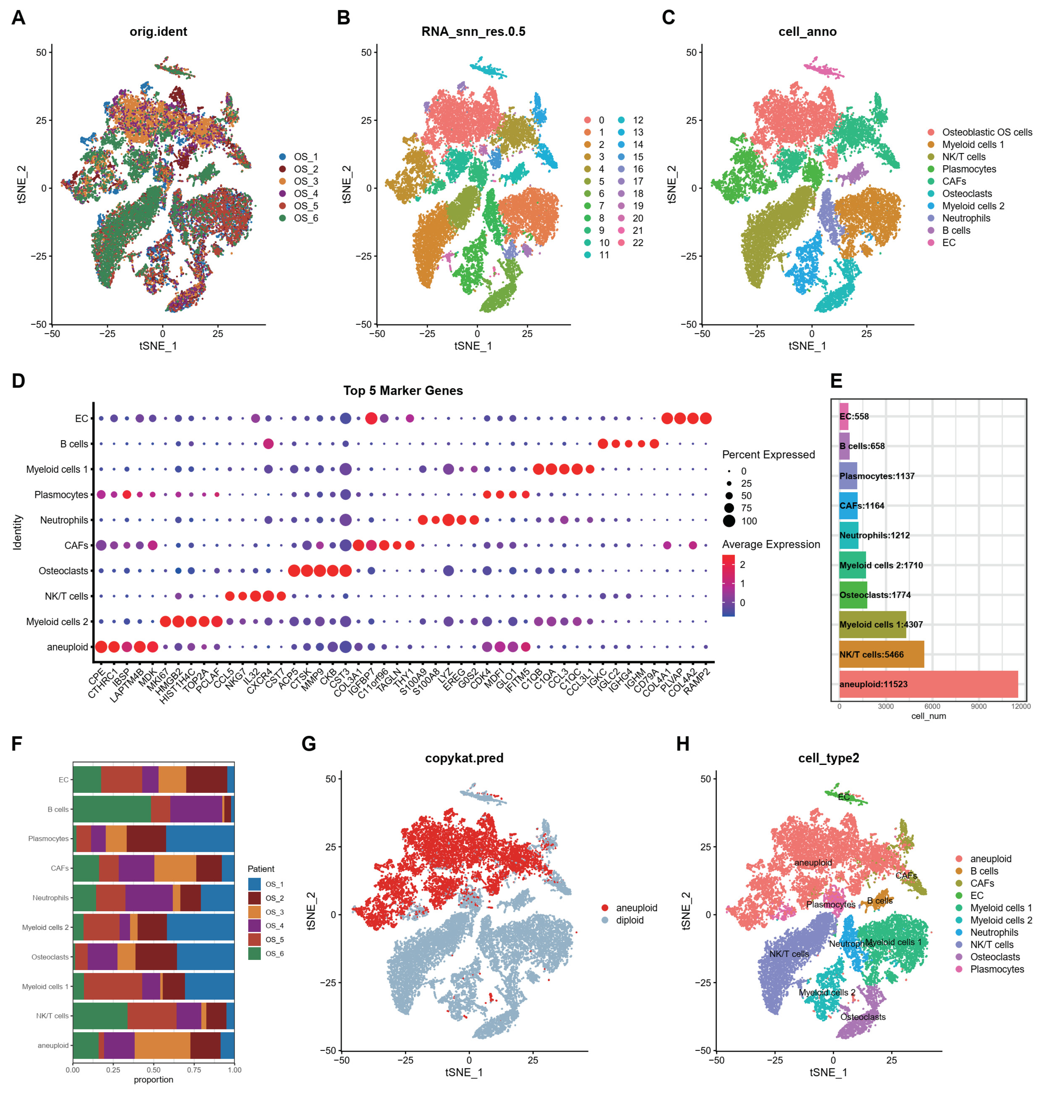 Biomedicines 12 01513 g001