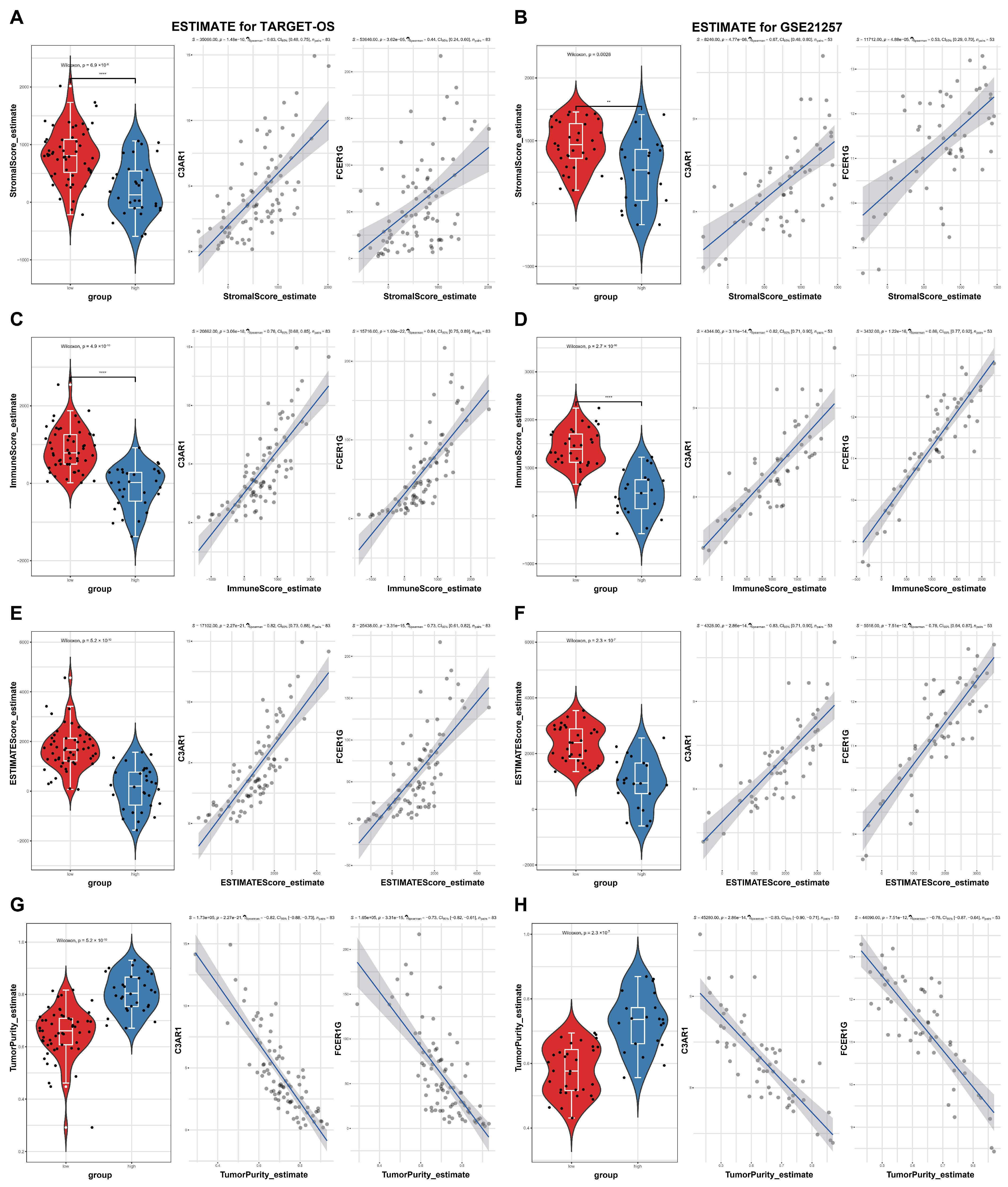 Biomedicines 12 01513 g007